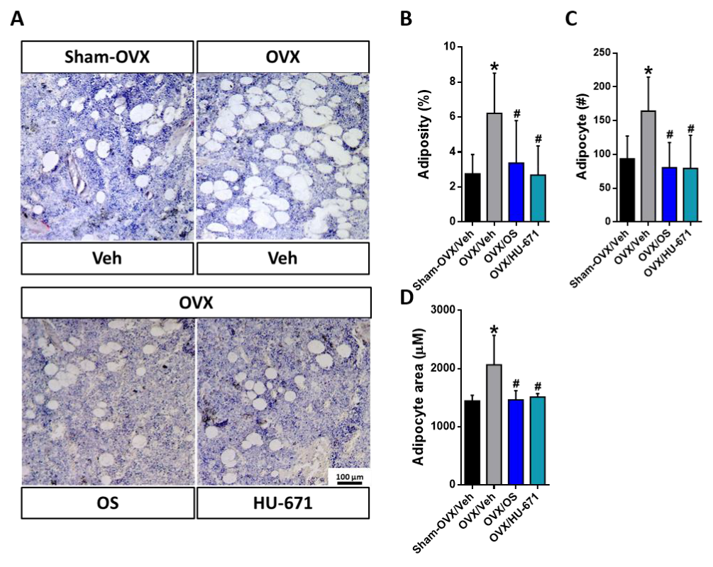 Molecules 24 03719 g006 Molecules 24 03719 g006