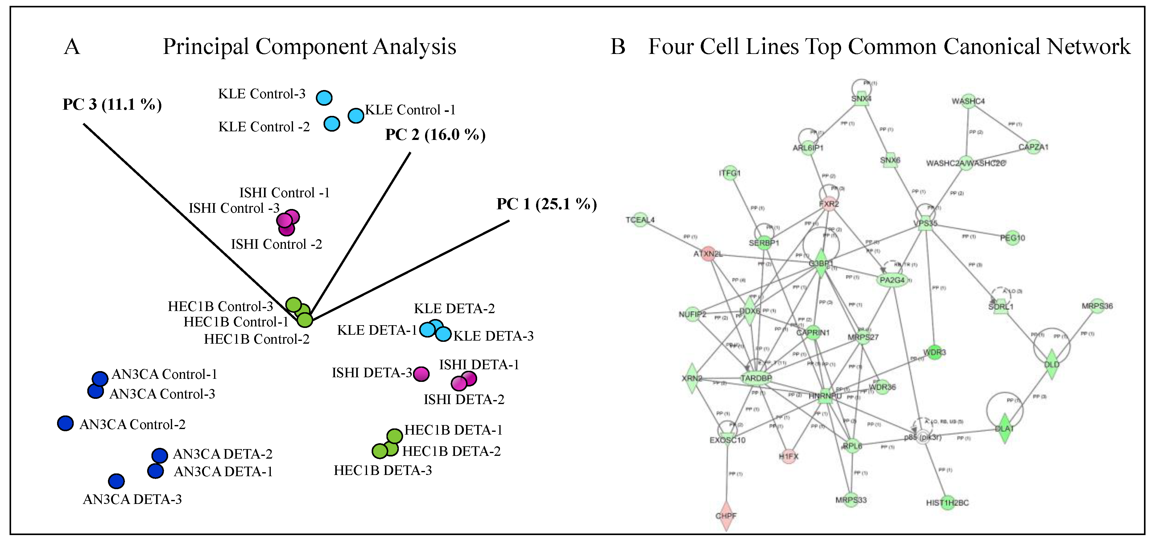 Molecules 24 03722 g006 Molecules 24 03722 g006