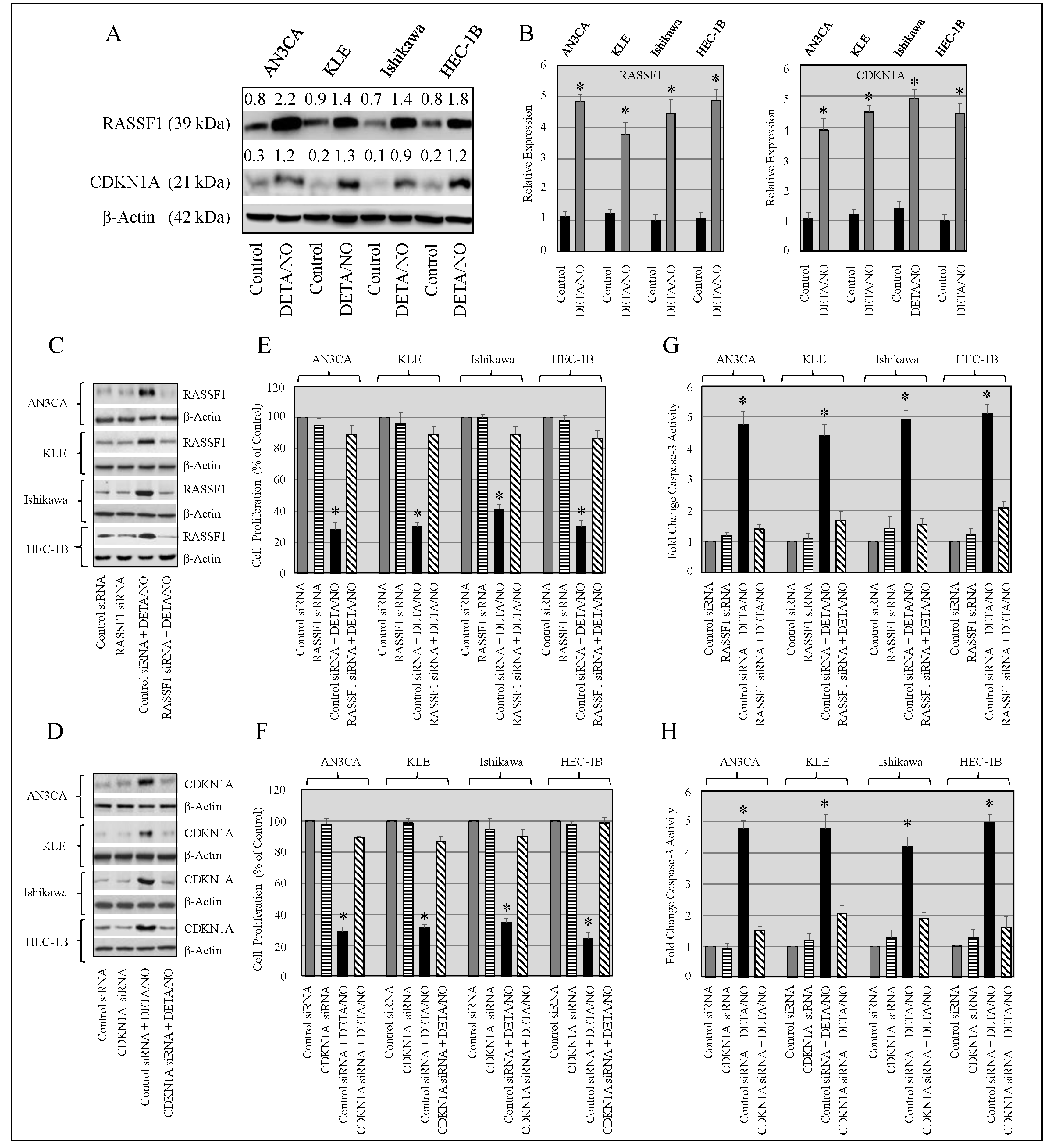 Molecules 24 03722 g007 Molecules 24 03722 g007