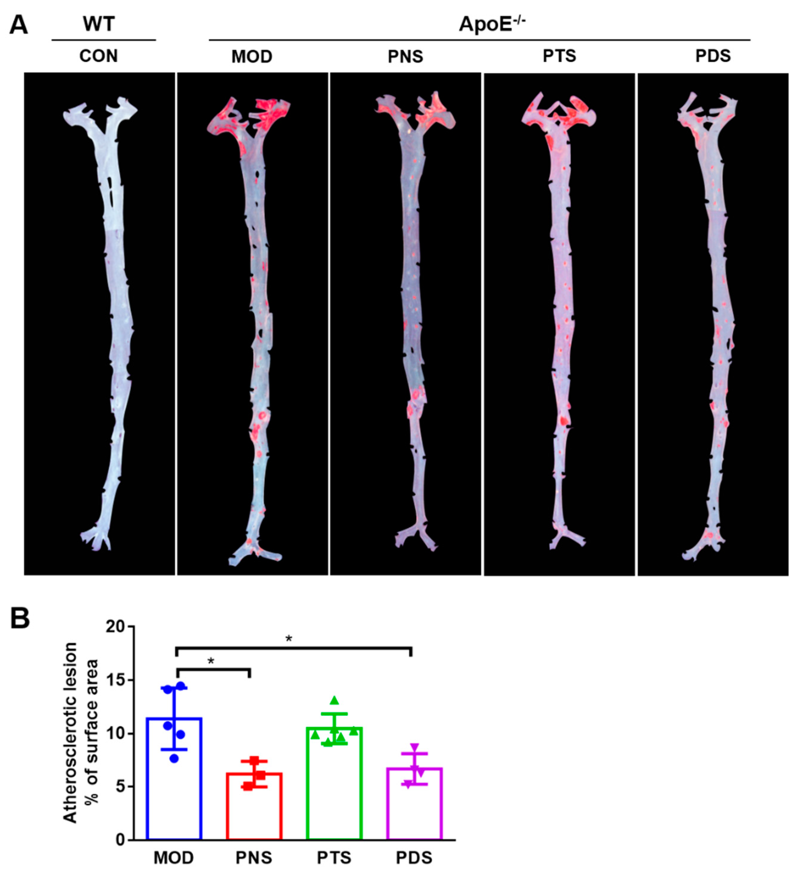 Molecules 24 03723 g002 Molecules 24 03723 g002
