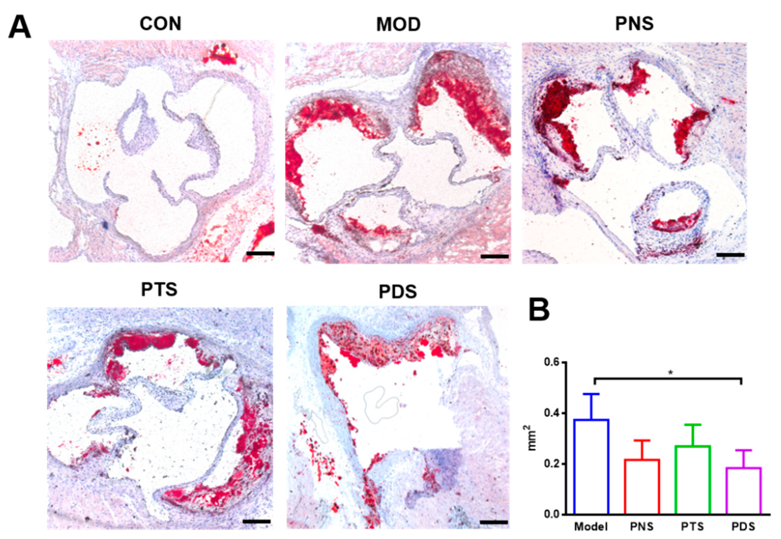 Molecules 24 03723 g003 Molecules 24 03723 g003