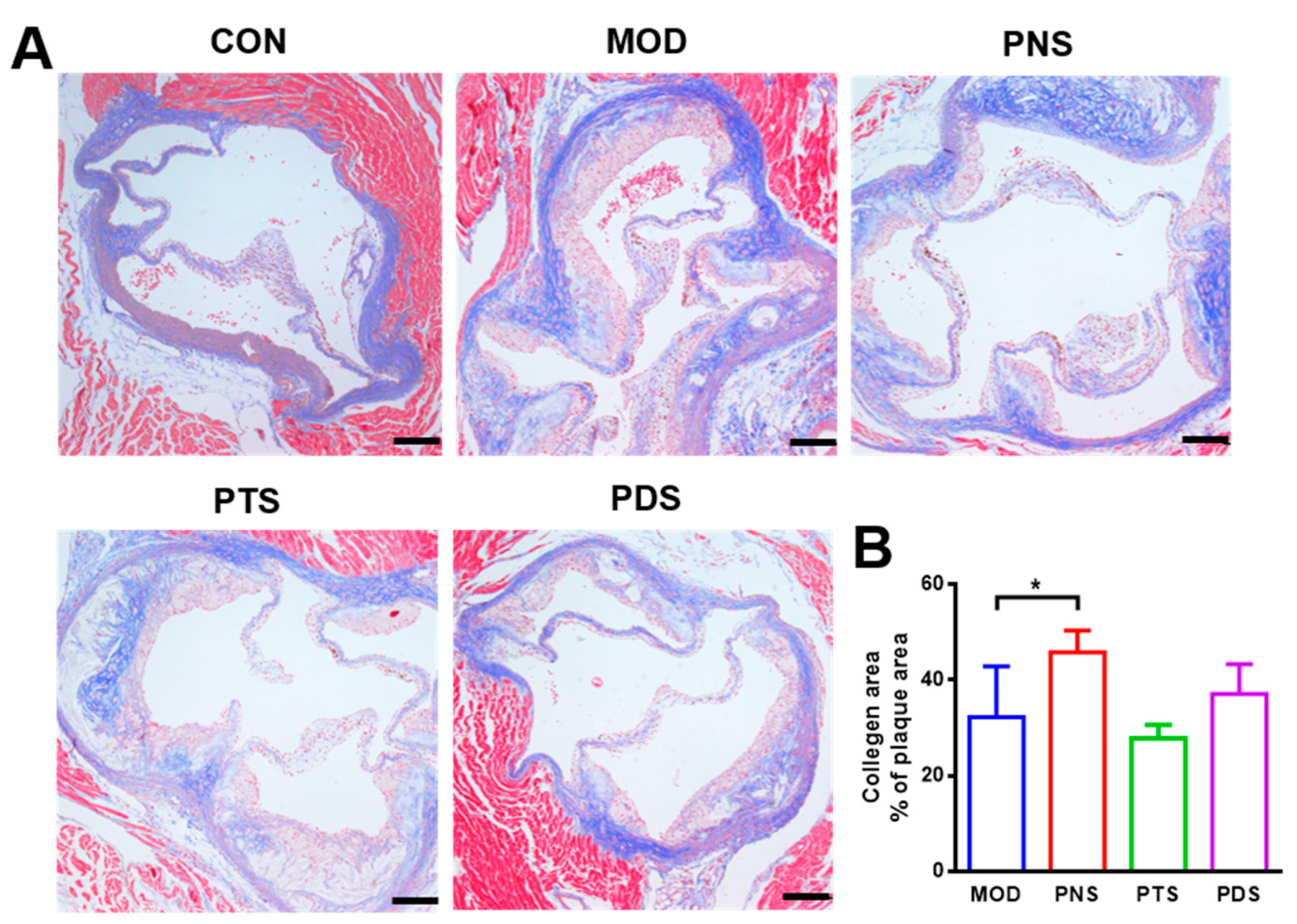 Molecules 24 03723 g004 Molecules 24 03723 g004