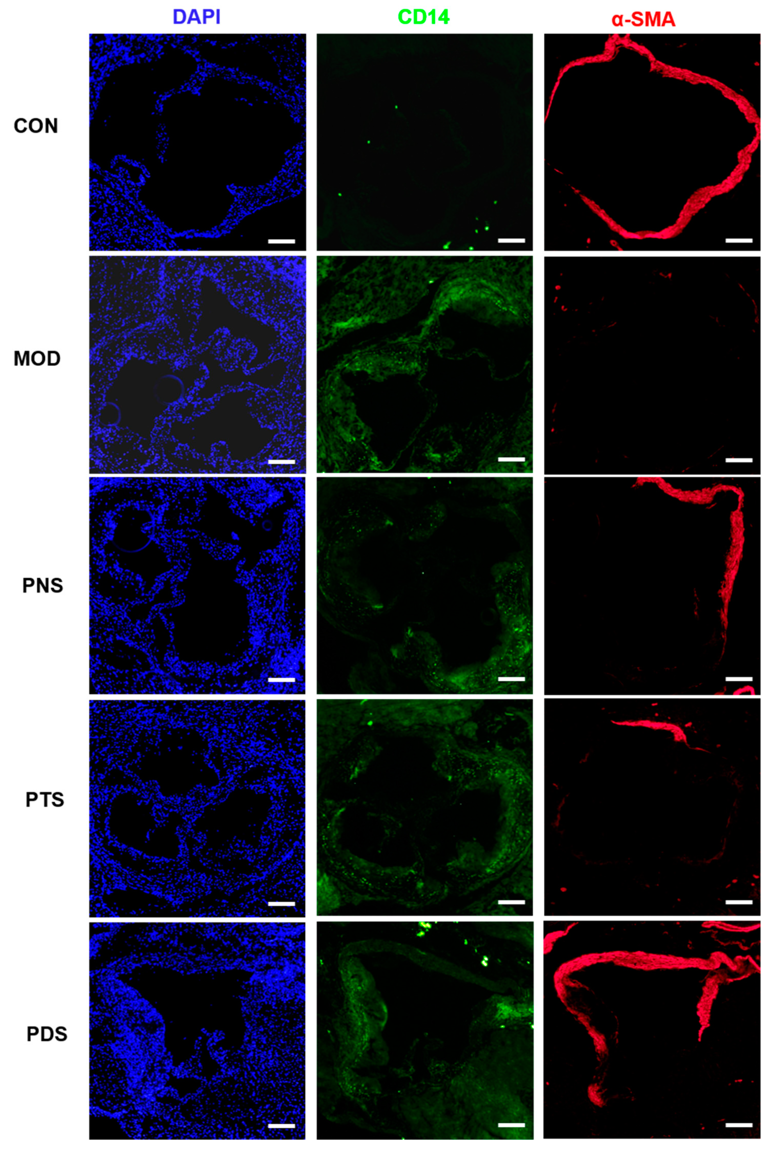 Molecules 24 03723 g005 Molecules 24 03723 g005
