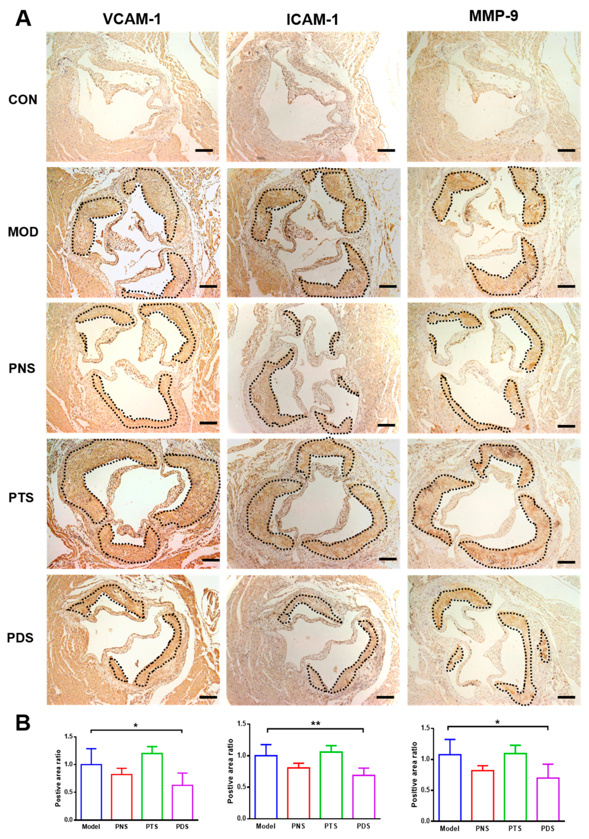 Molecules 24 03723 g007 Molecules 24 03723 g007