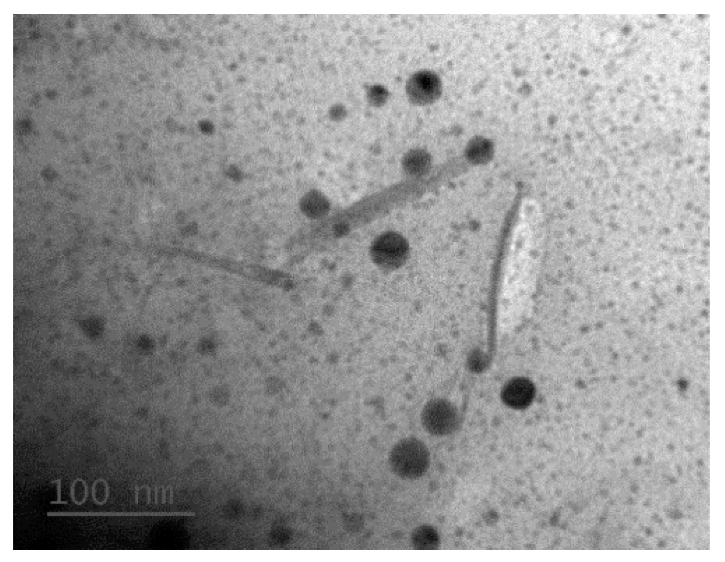 Molecules 24 03724 g008 Molecules 24 03724 g008