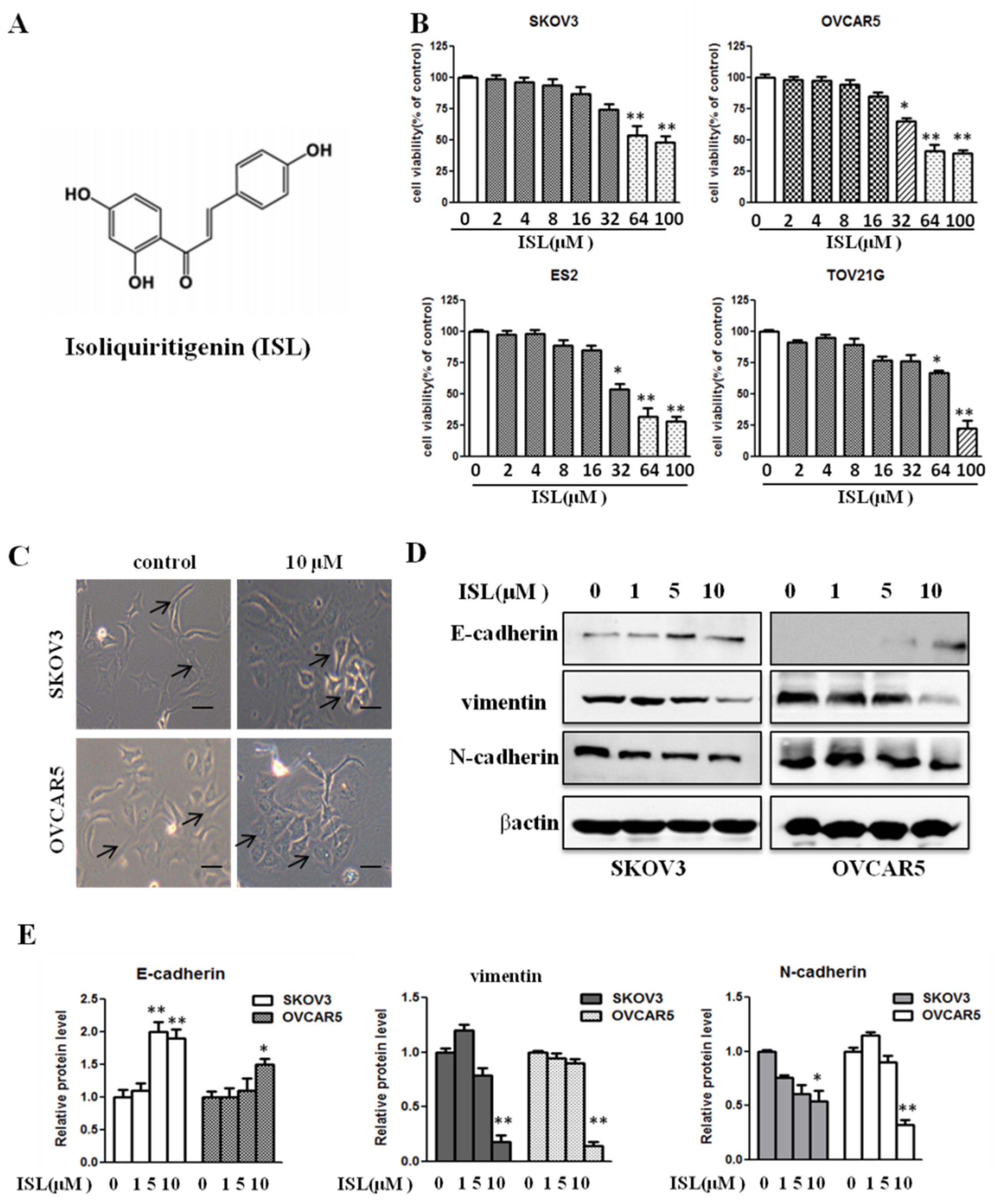 Molecules 24 03725 g001