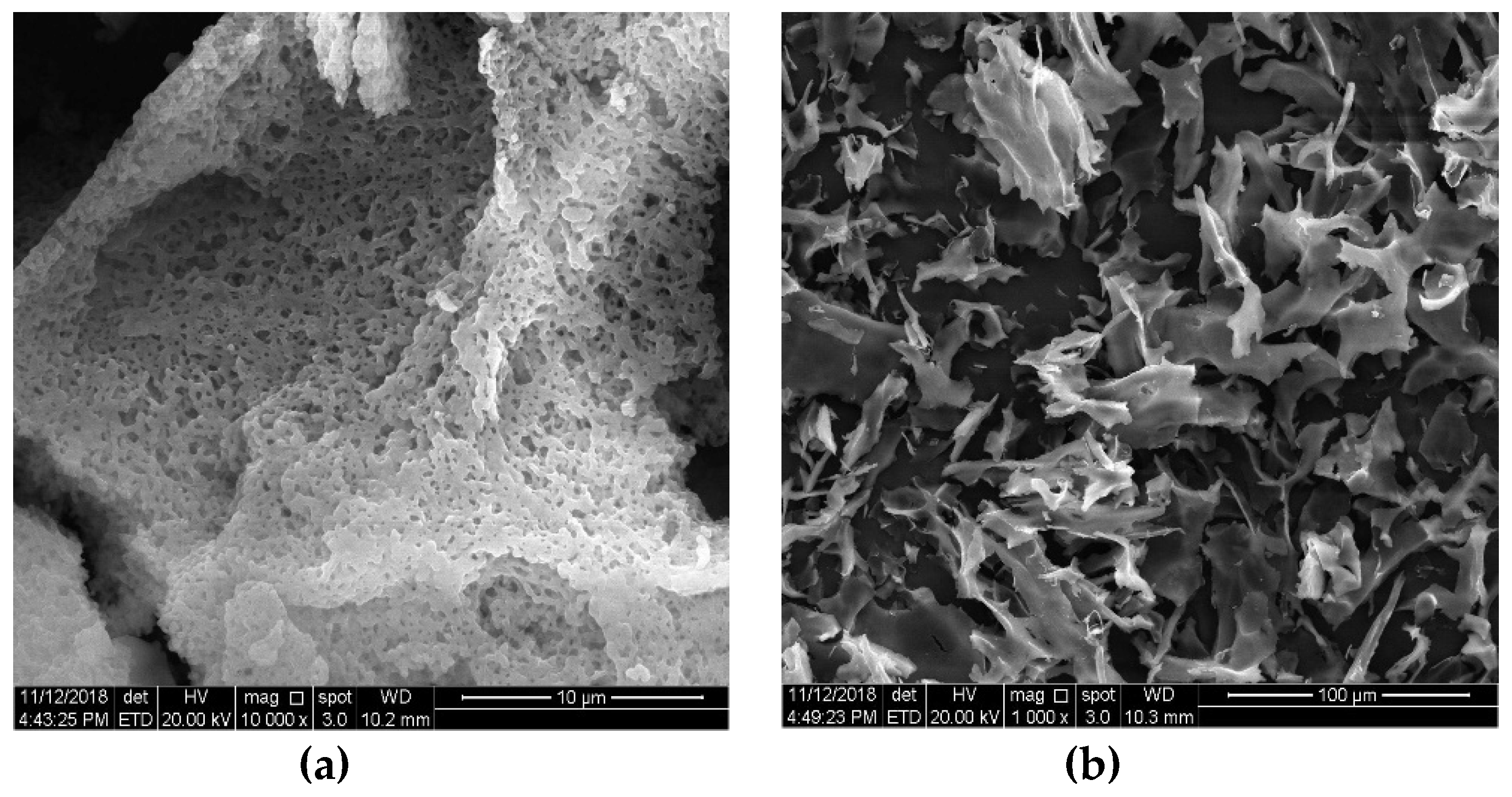 Molecules 24 03733 g006