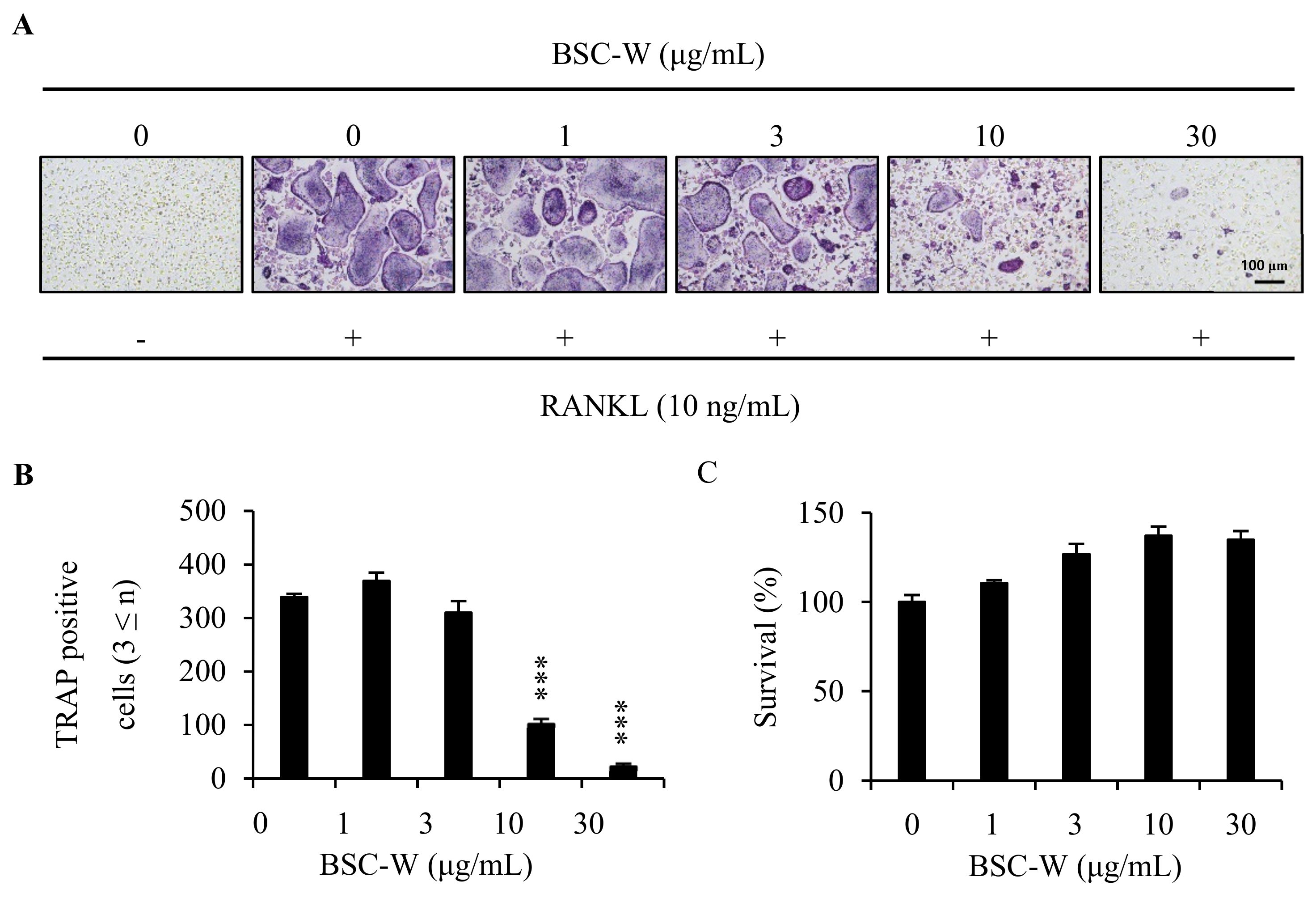 Molecules 24 03735 g001