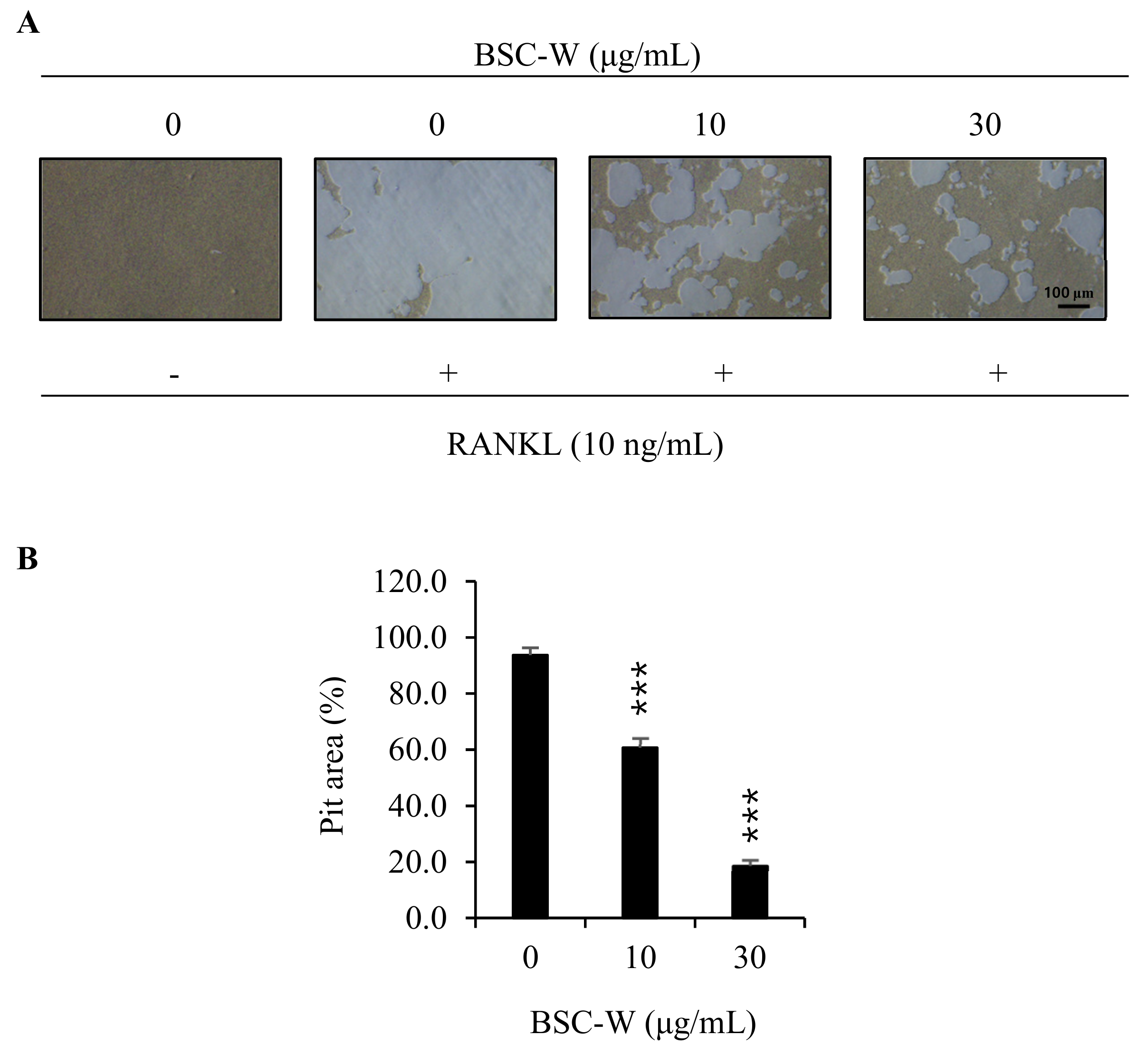 Molecules 24 03735 g004