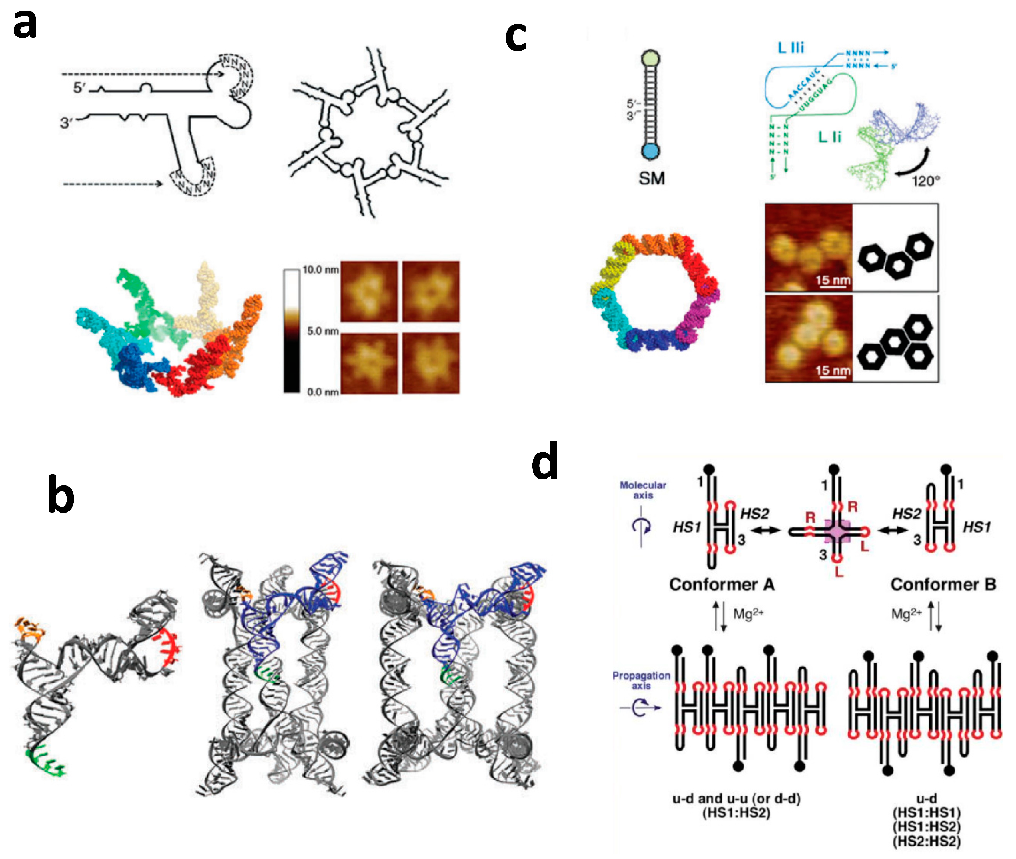 Molecules 24 03740 g003 Molecules 24 03740 g003