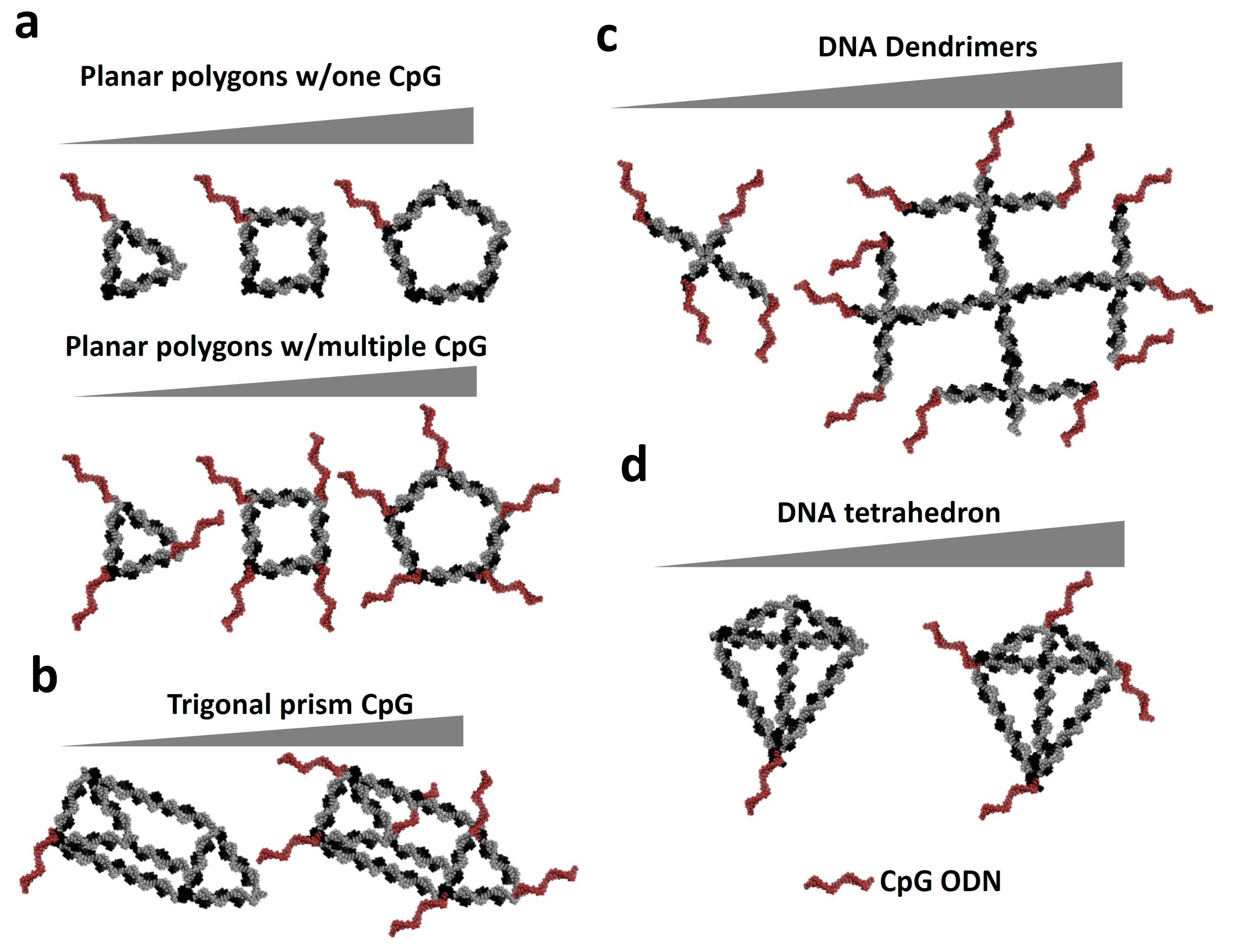 Molecules 24 03740 g004 Molecules 24 03740 g004