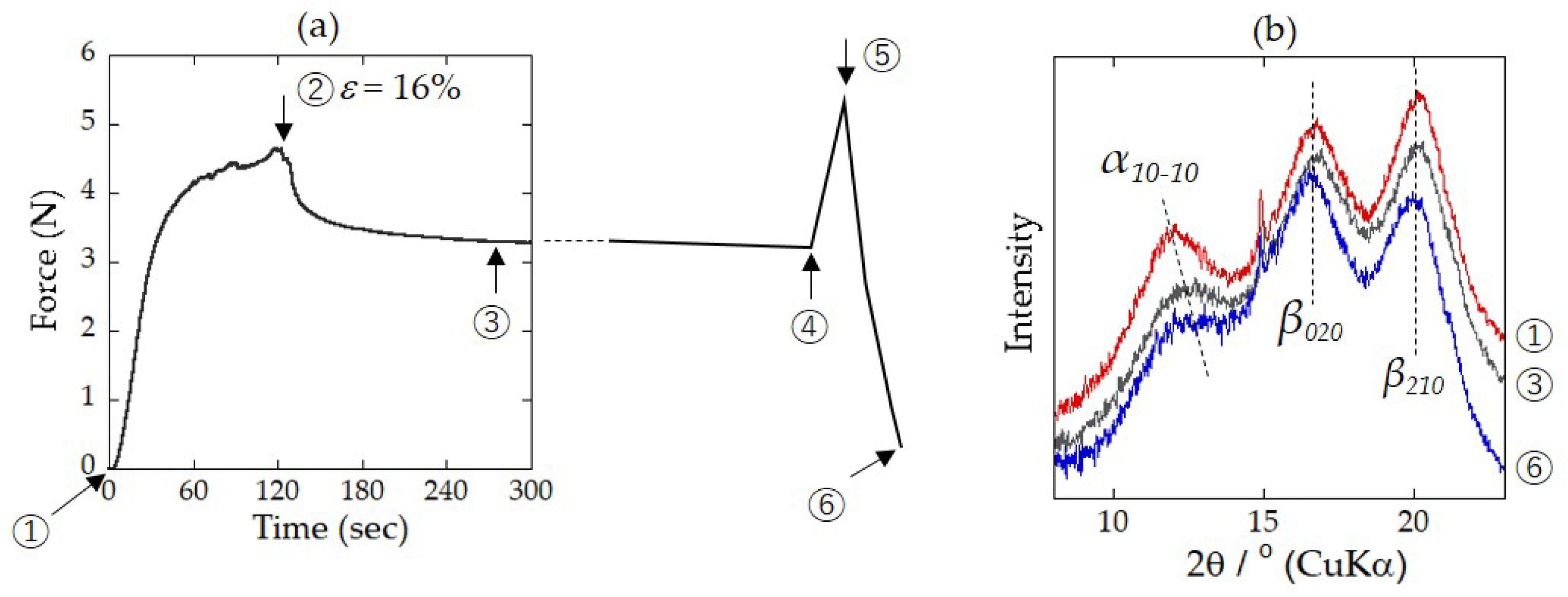 Molecules 24 03741 g008 Molecules 24 03741 g008