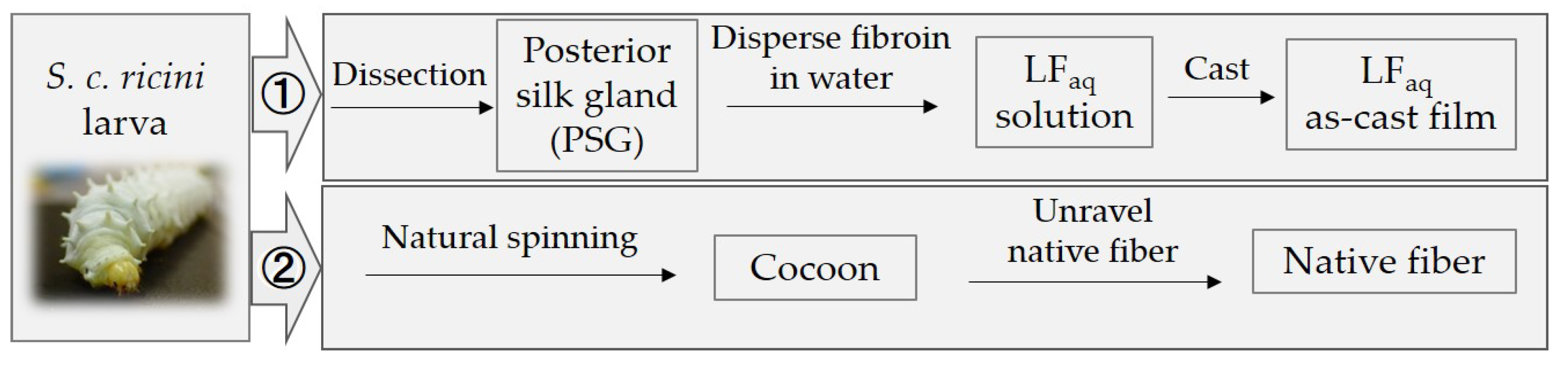 Molecules 24 03741 sch001 Molecules 24 03741 sch001