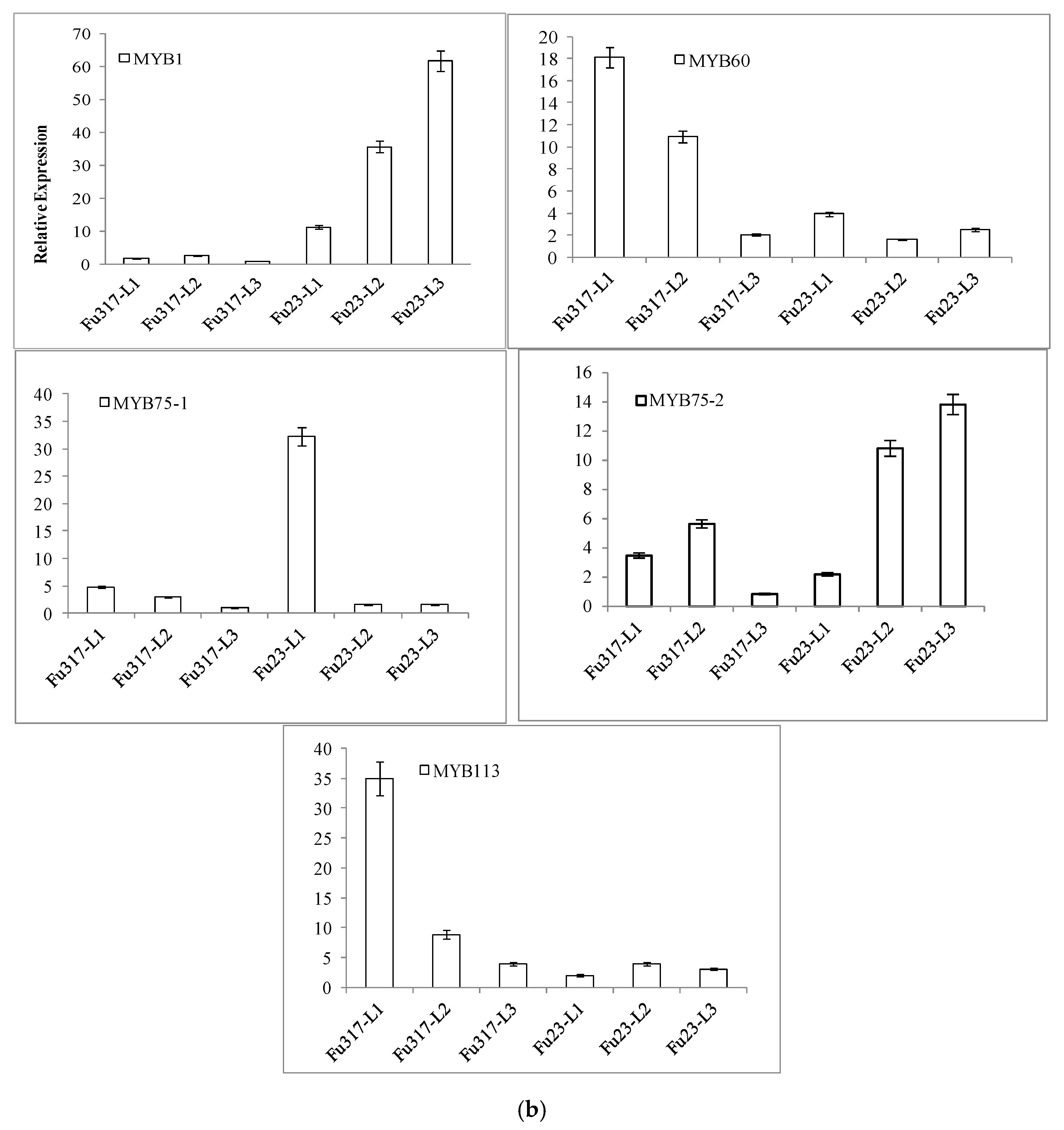 Molecules 24 03743 g003b