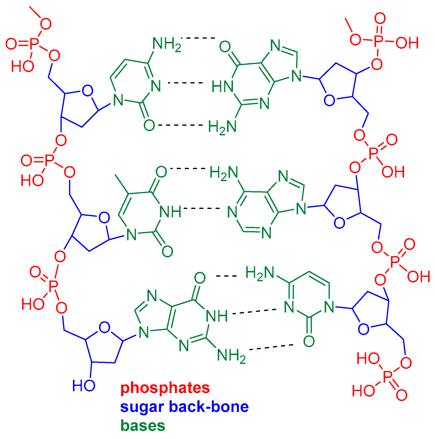 Molecules 24 03746 g002 Molecules 24 03746 g002