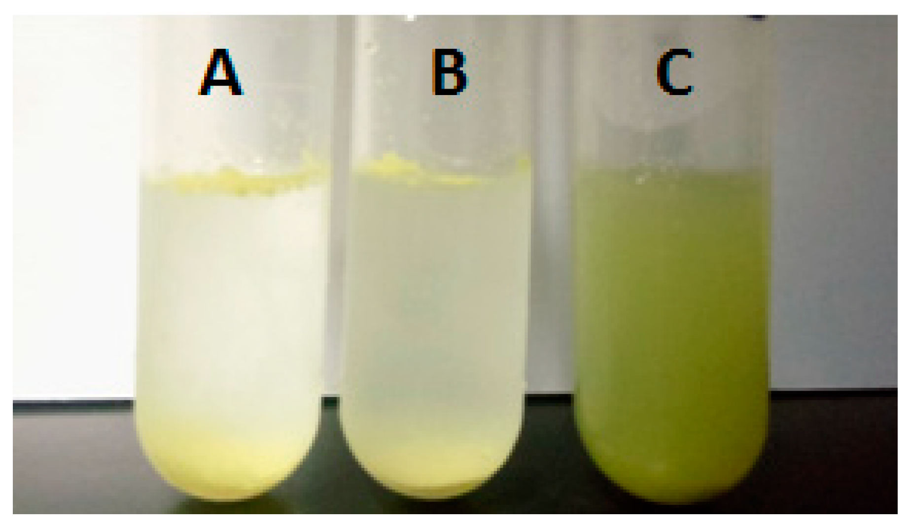 Molecules 24 03747 g007