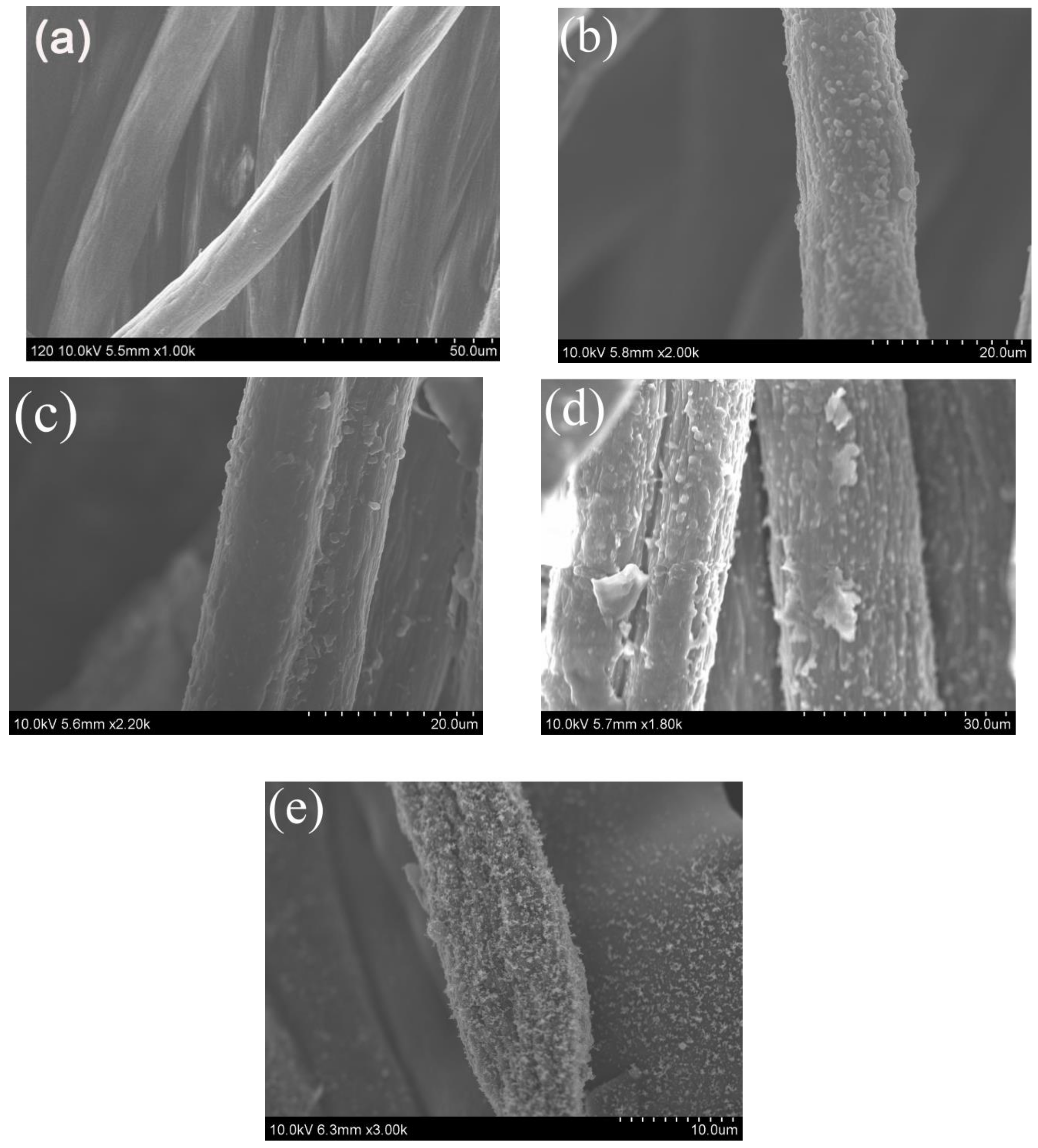 Molecules 24 03749 g007