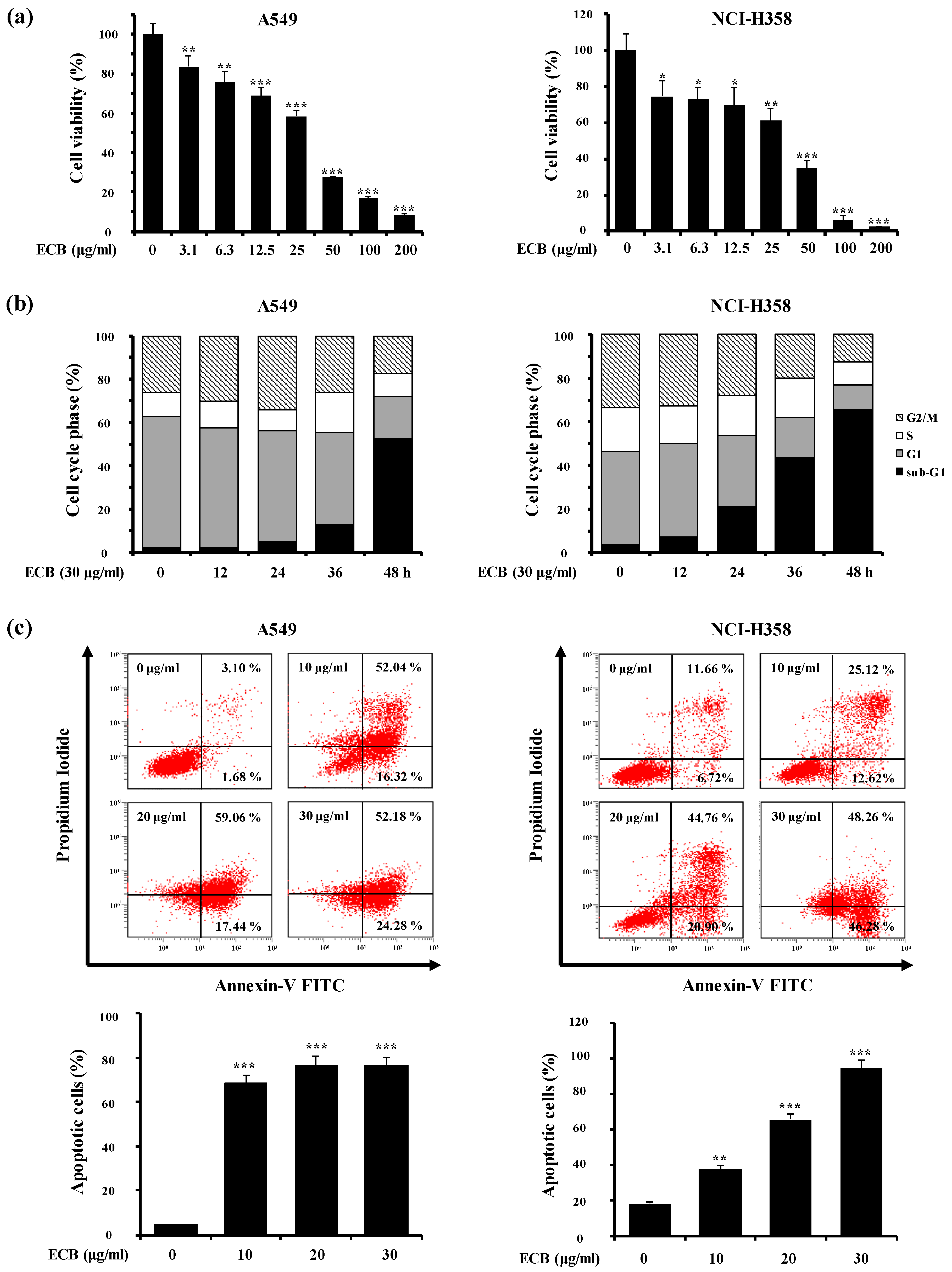 Molecules 24 03754 g001