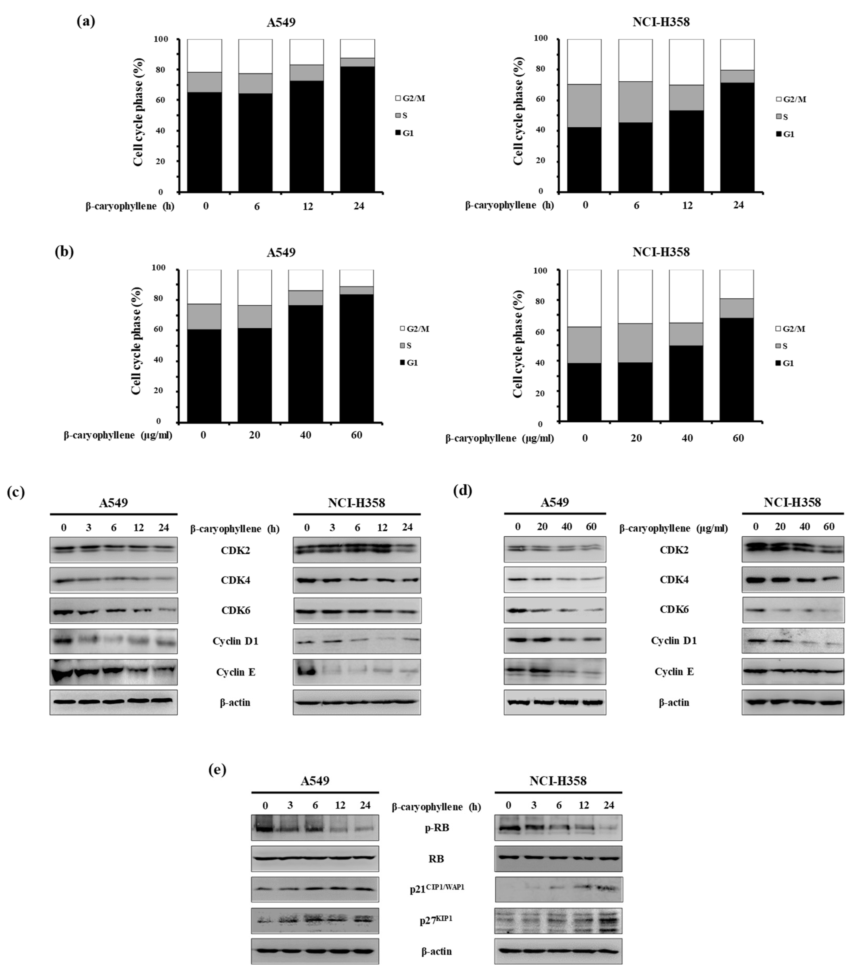 Molecules 24 03754 g004