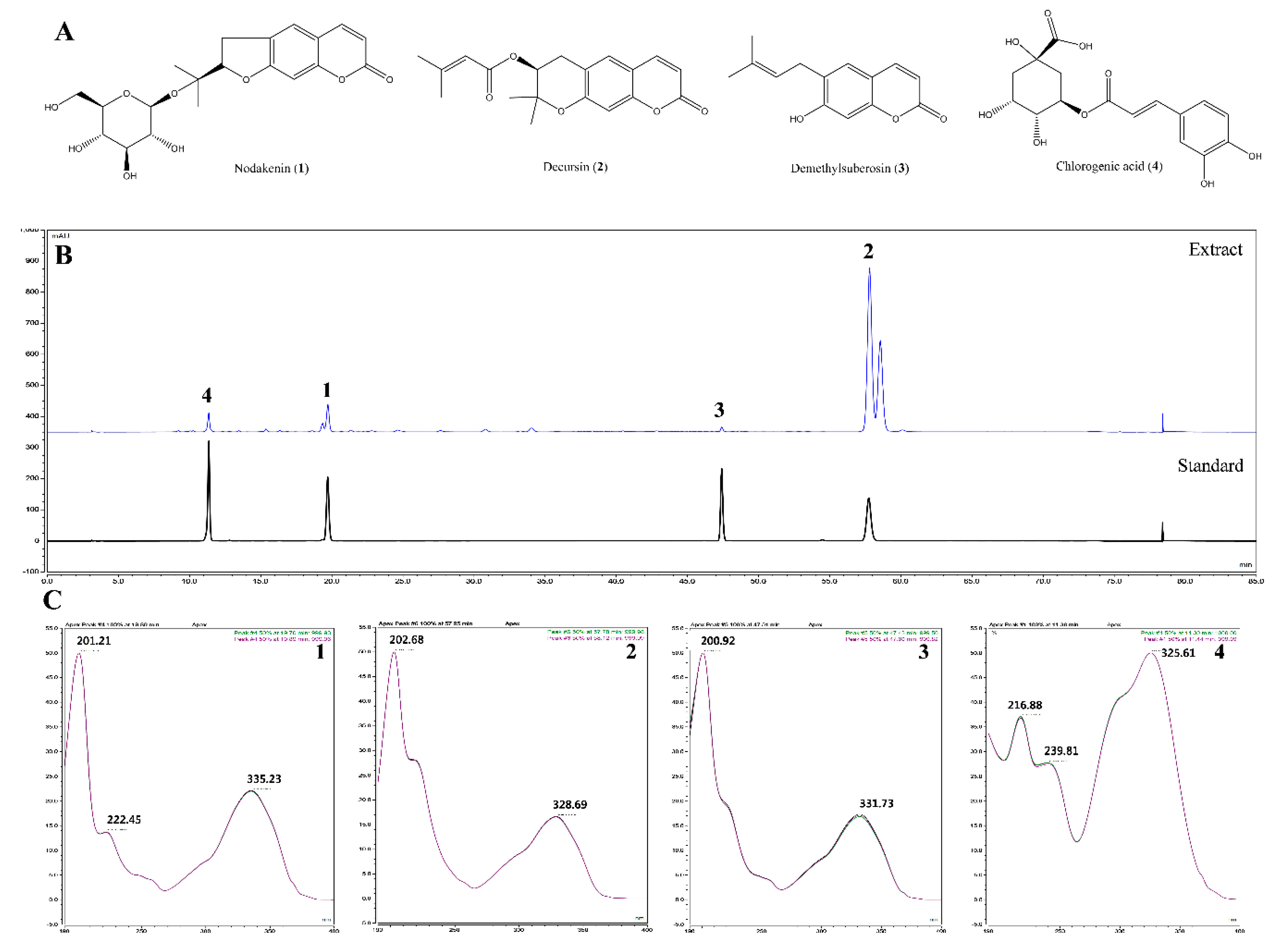 Molecules 24 03755 g005 550