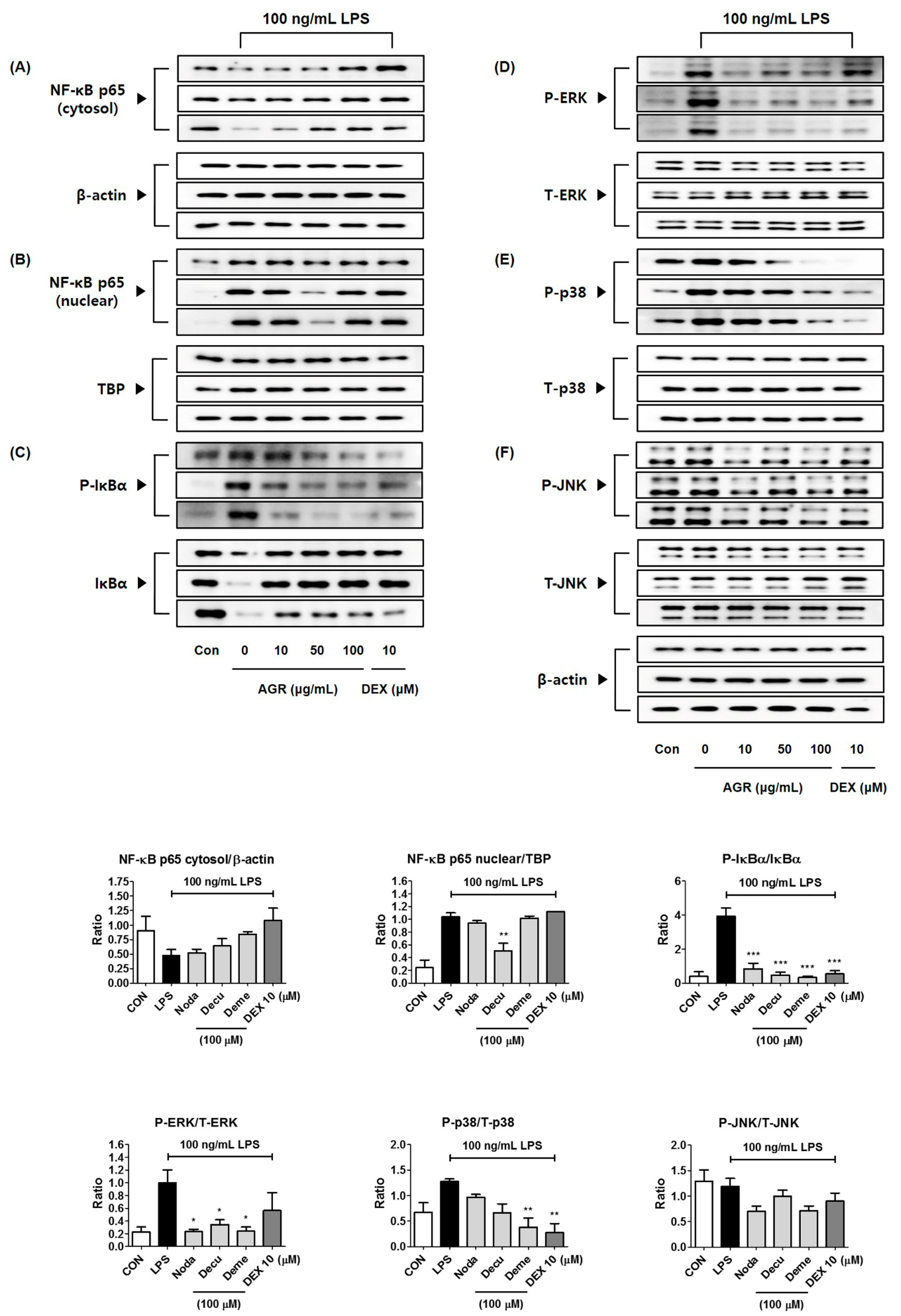 Molecules 24 03755 g007 550