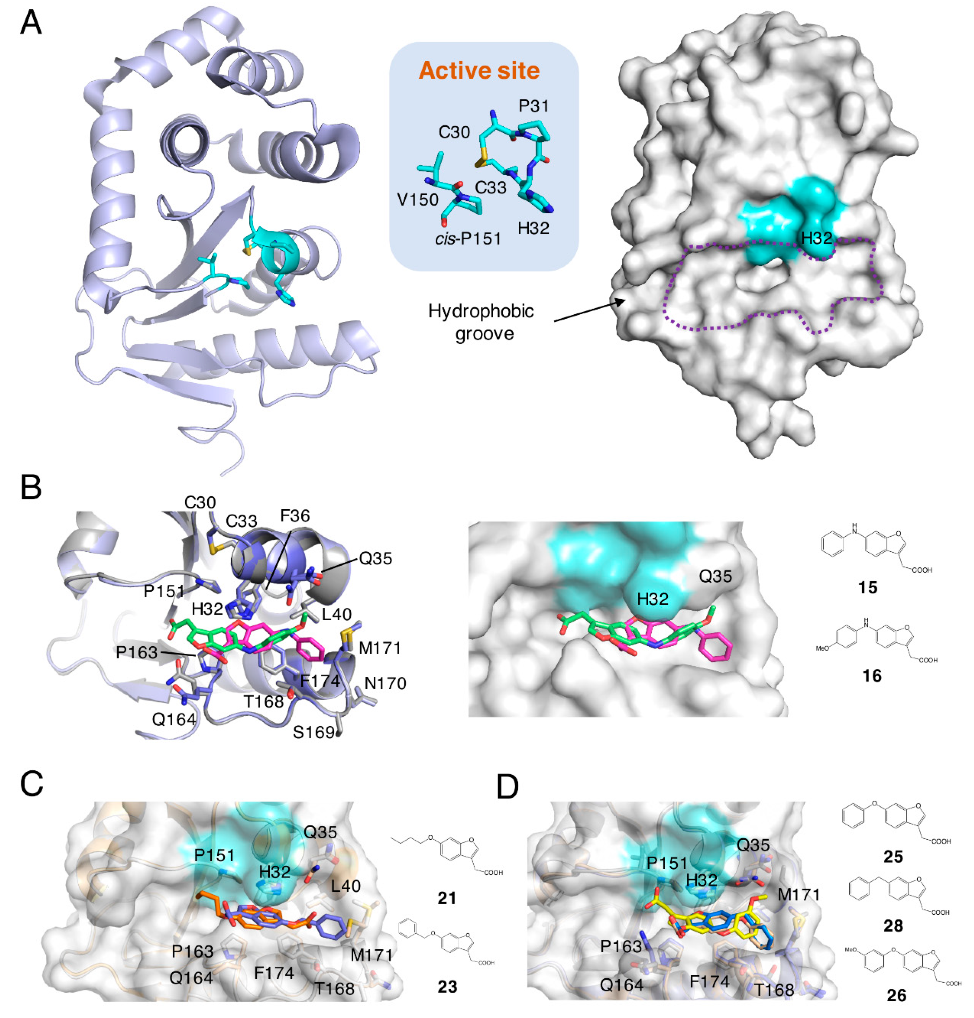 Molecules 24 03756 g001
