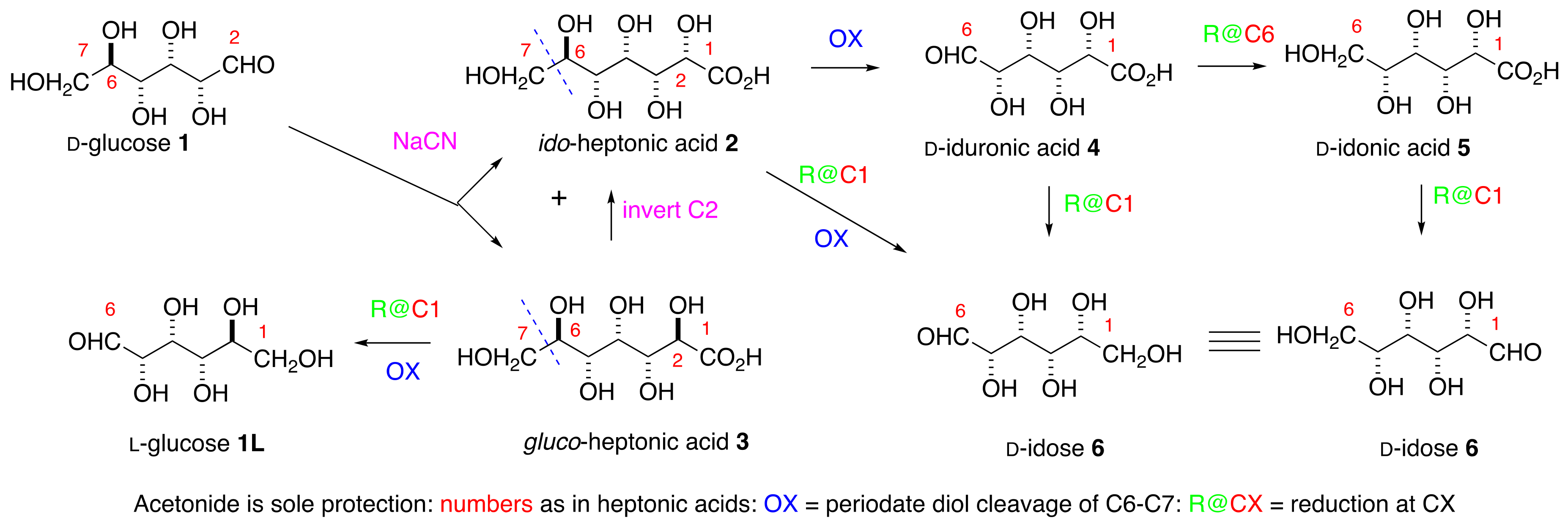 Molecules 24 03758 sch001 550