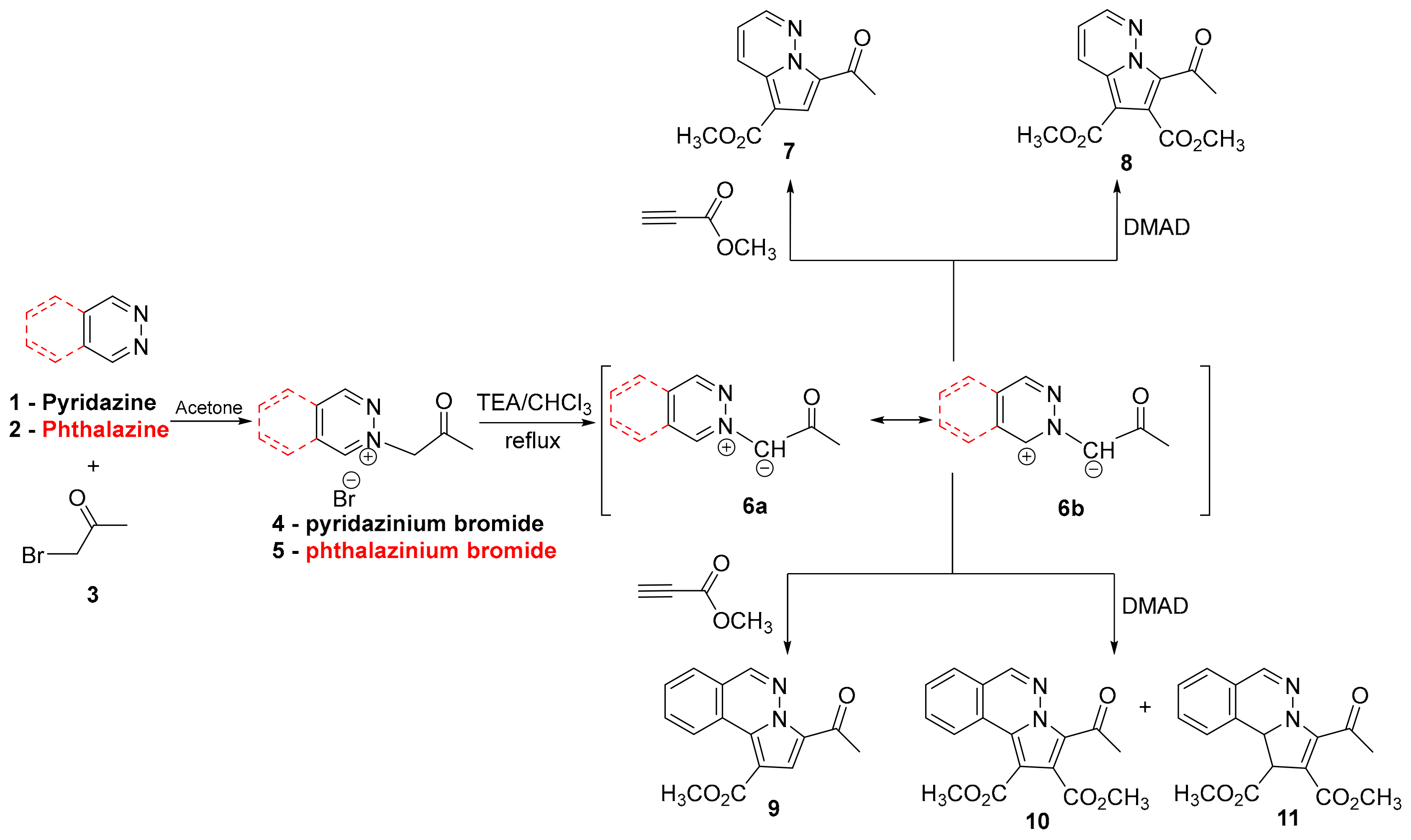 Molecules 24 03760 sch001