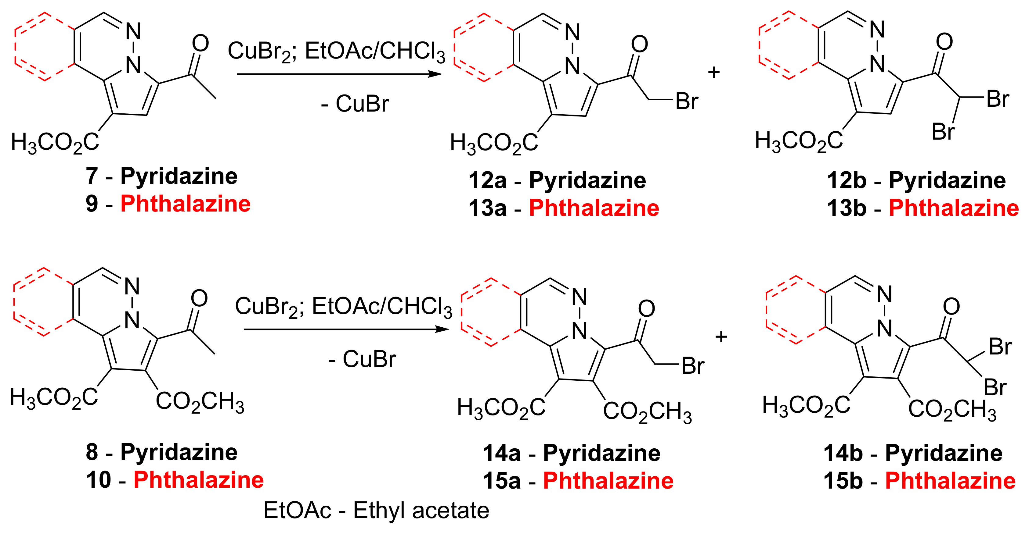 Molecules 24 03760 sch002