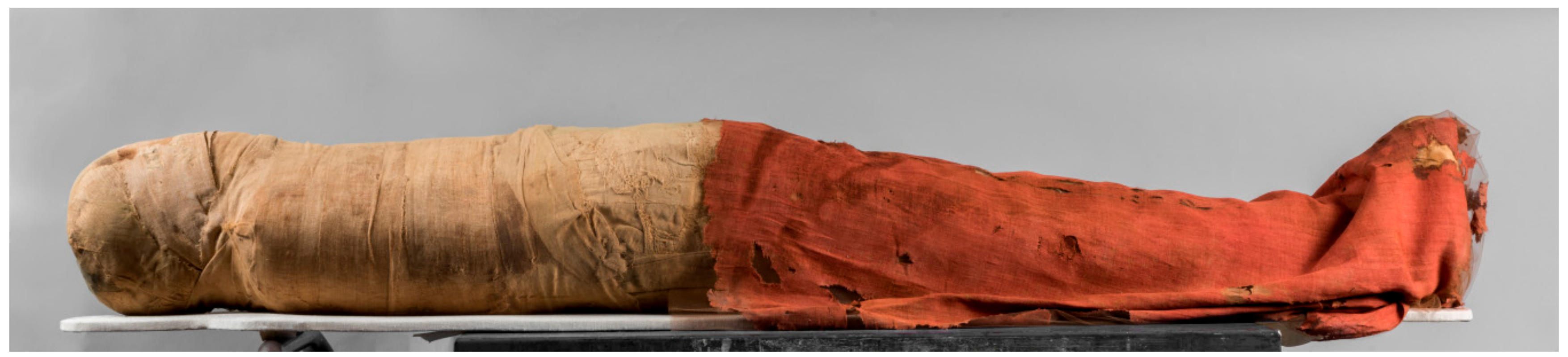 Molecules 24 03761 g001 550