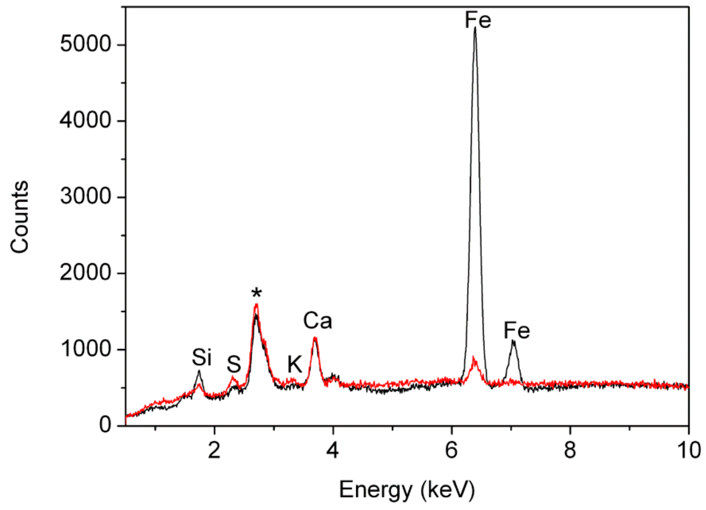 Molecules 24 03761 g006 550