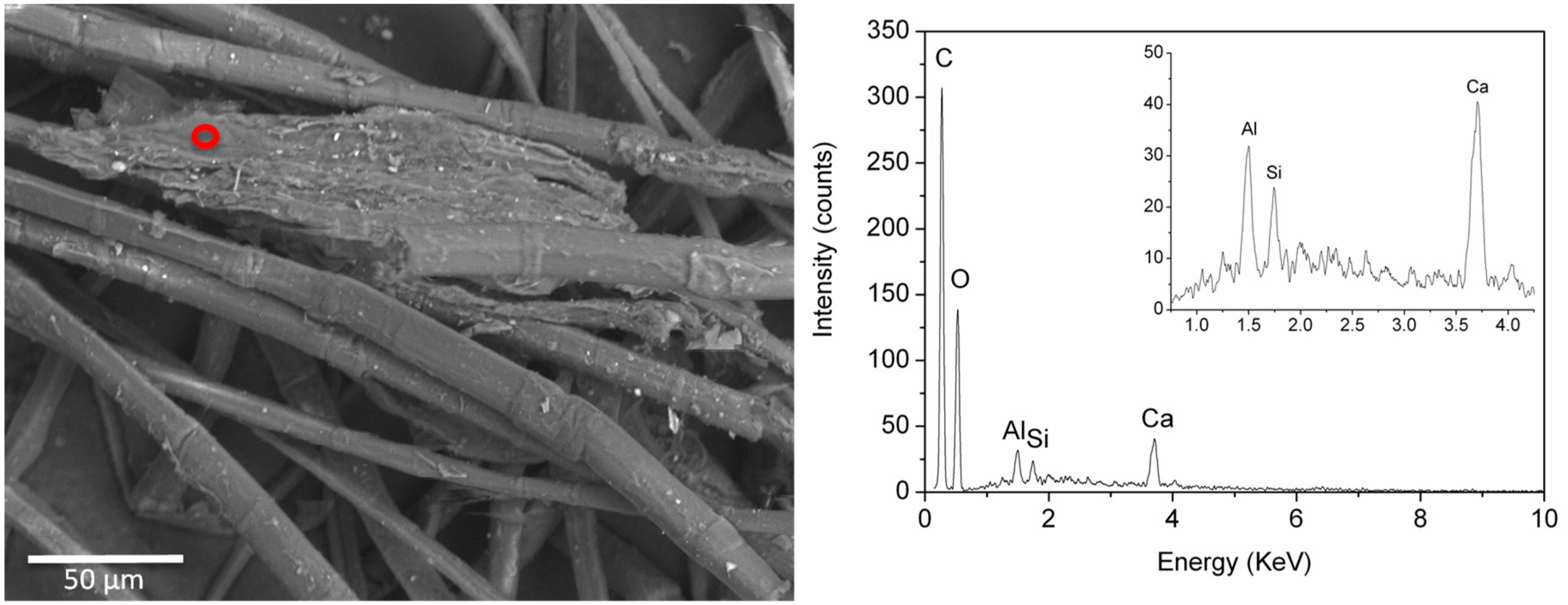 Molecules 24 03761 g008 550