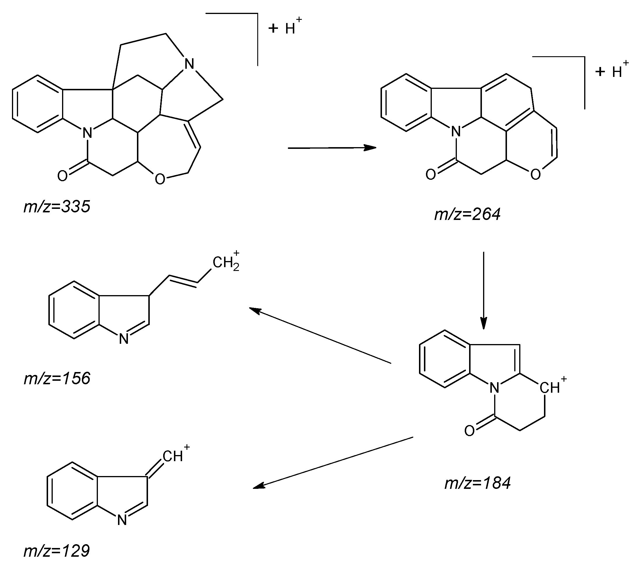 Molecules 24 03765 g003