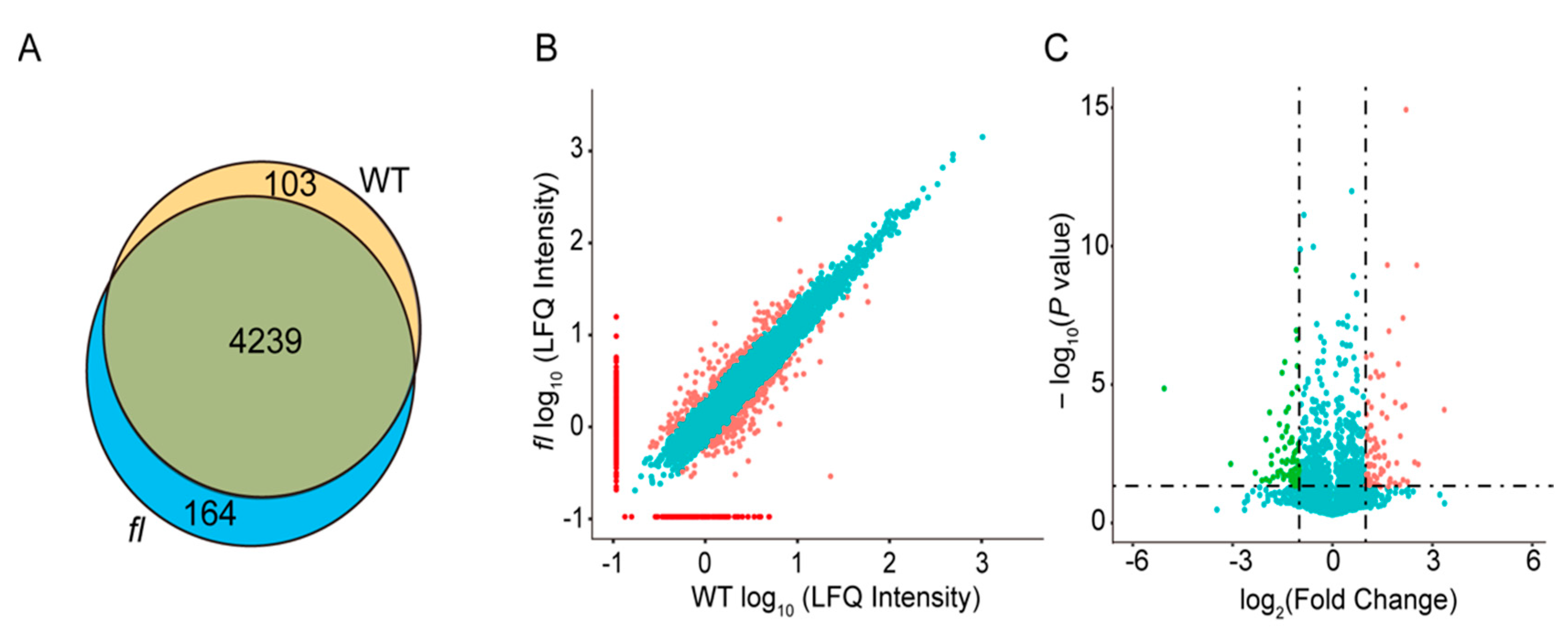 Molecules 24 03769 g003