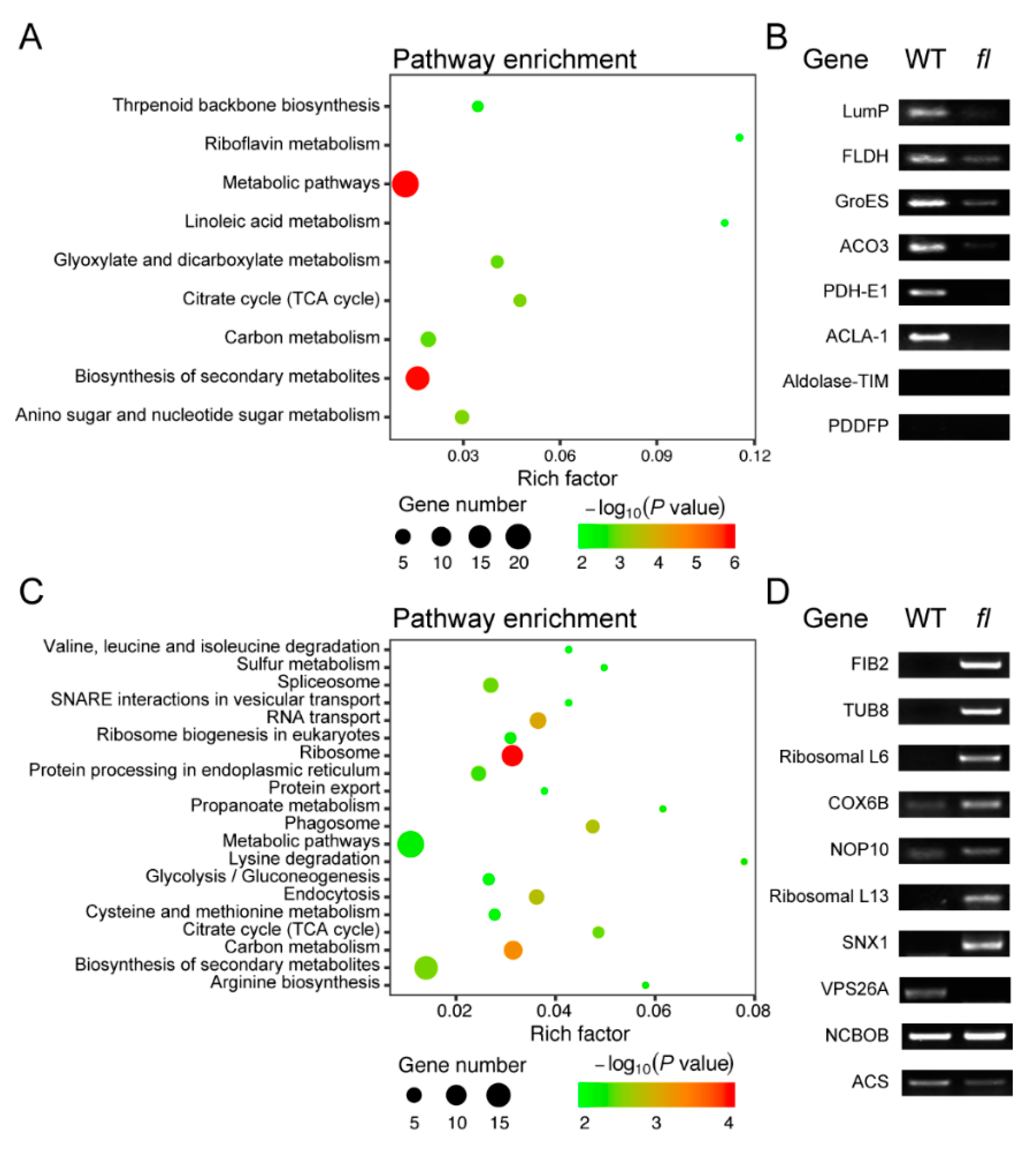 Molecules 24 03769 g004