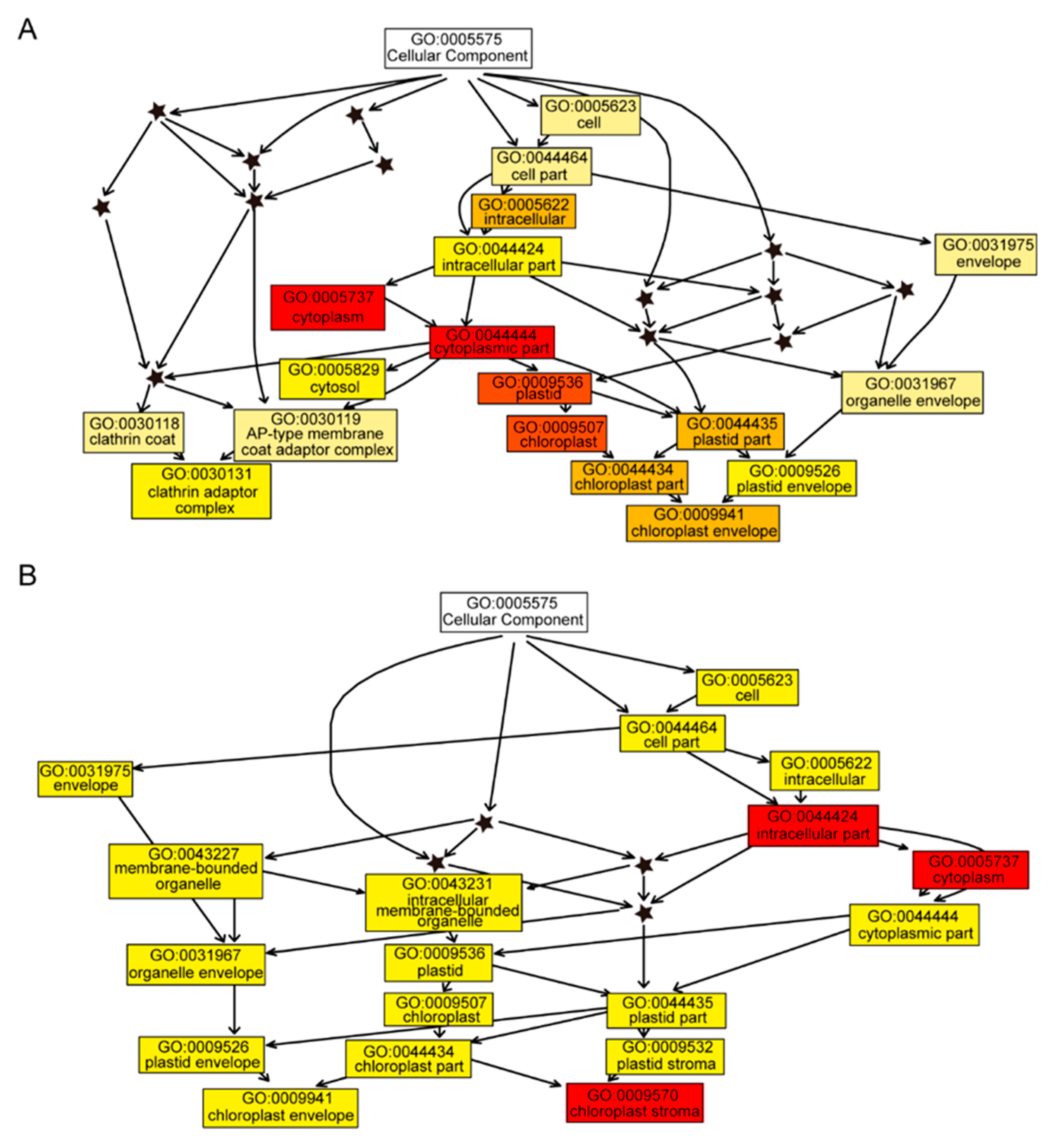 Molecules 24 03769 g005