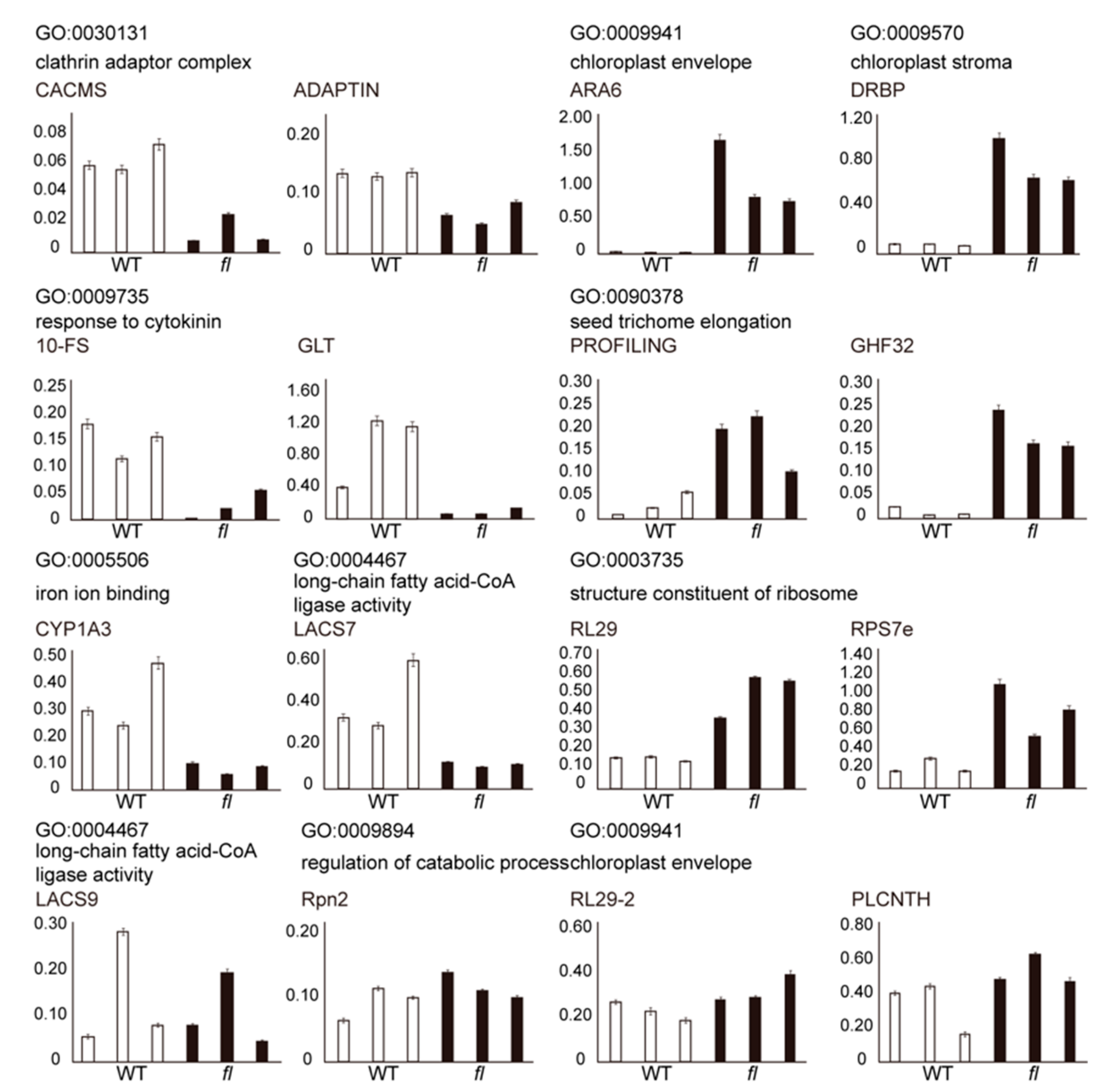 Molecules 24 03769 g006