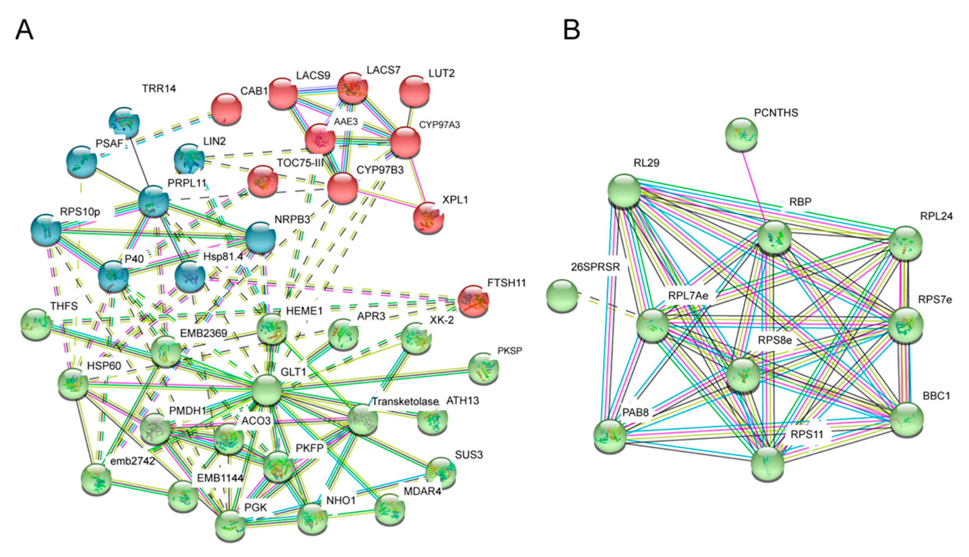 Molecules 24 03769 g007