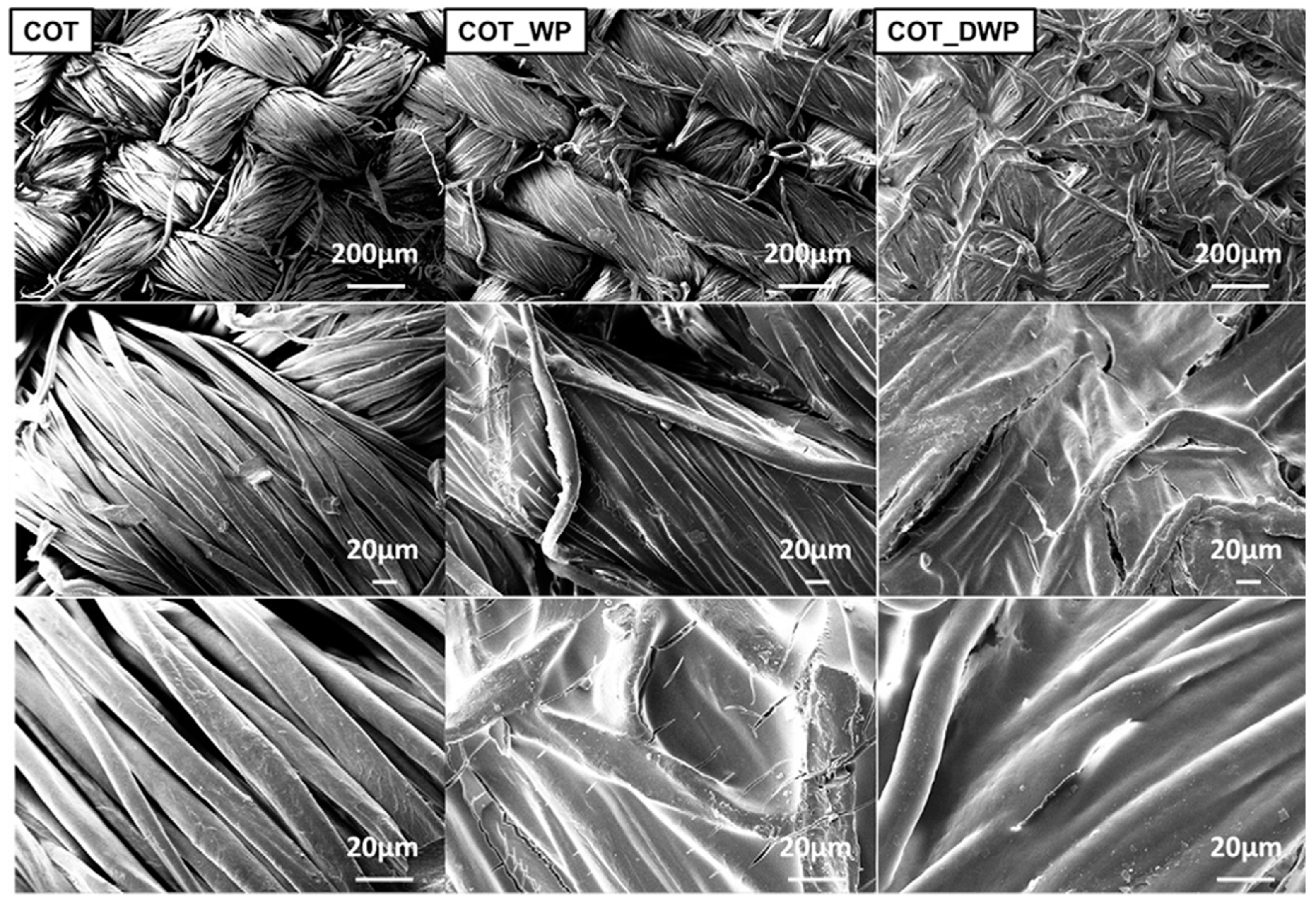 Molecules 24 03774 g001
