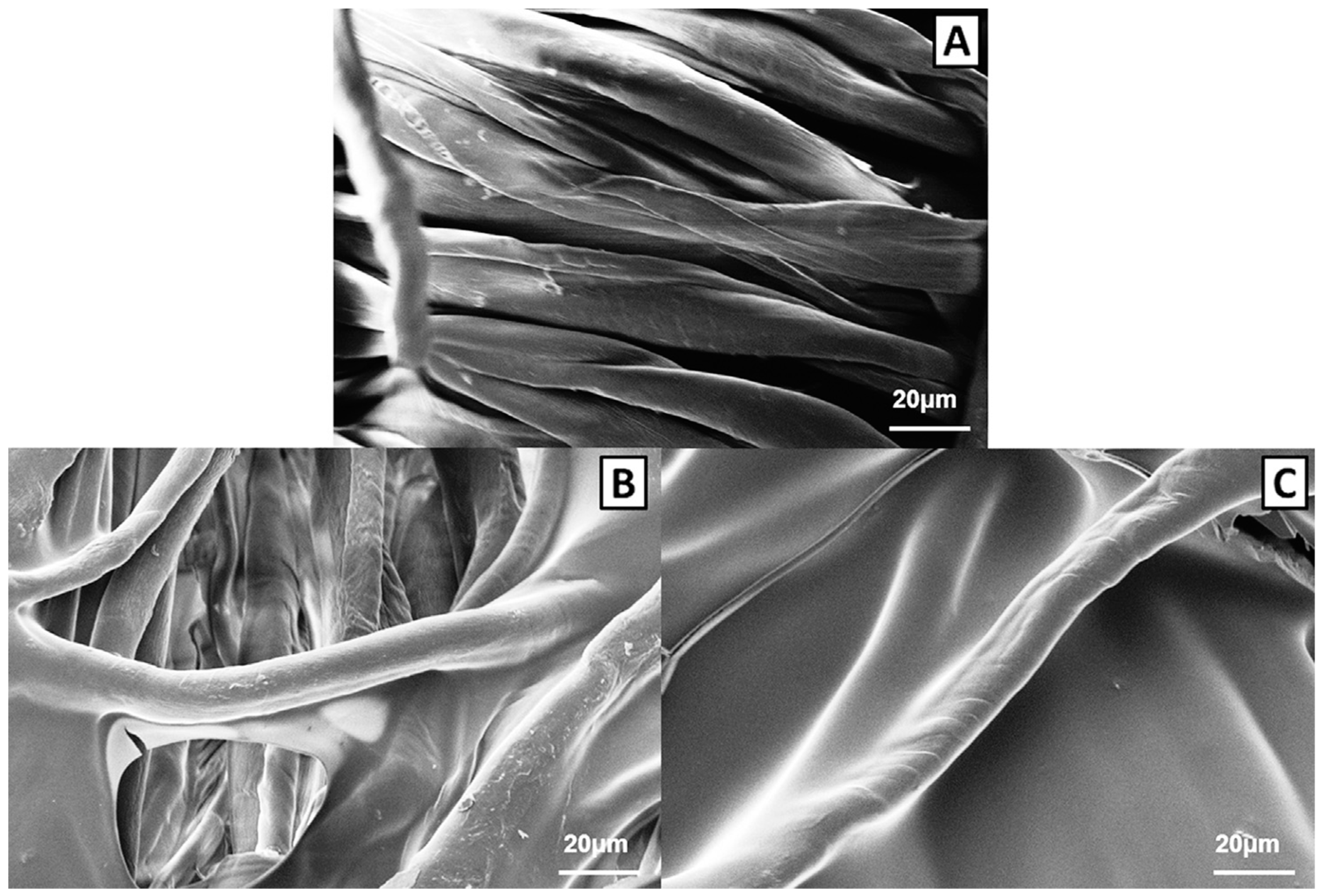 Molecules 24 03774 g004