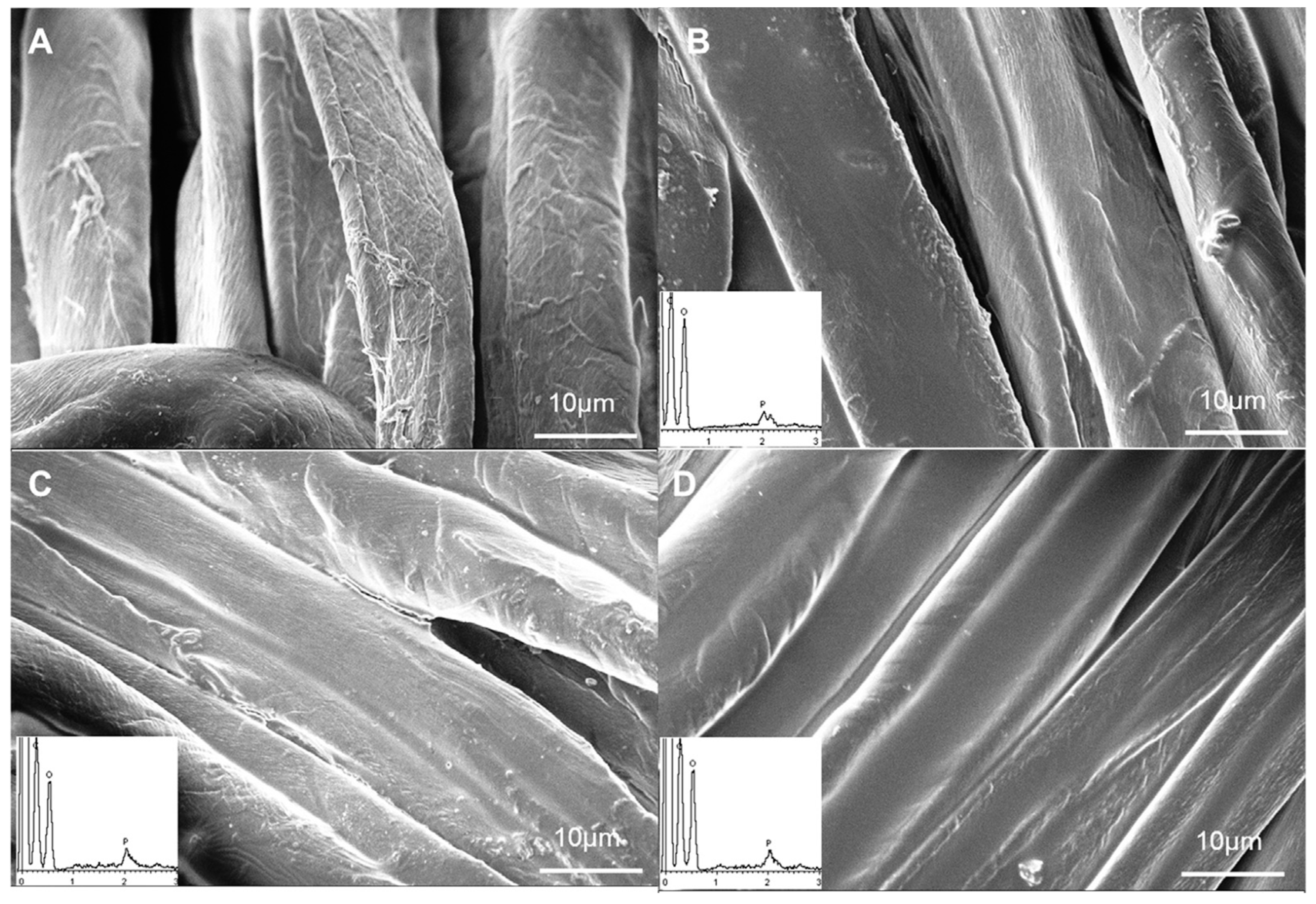Molecules 24 03774 g006