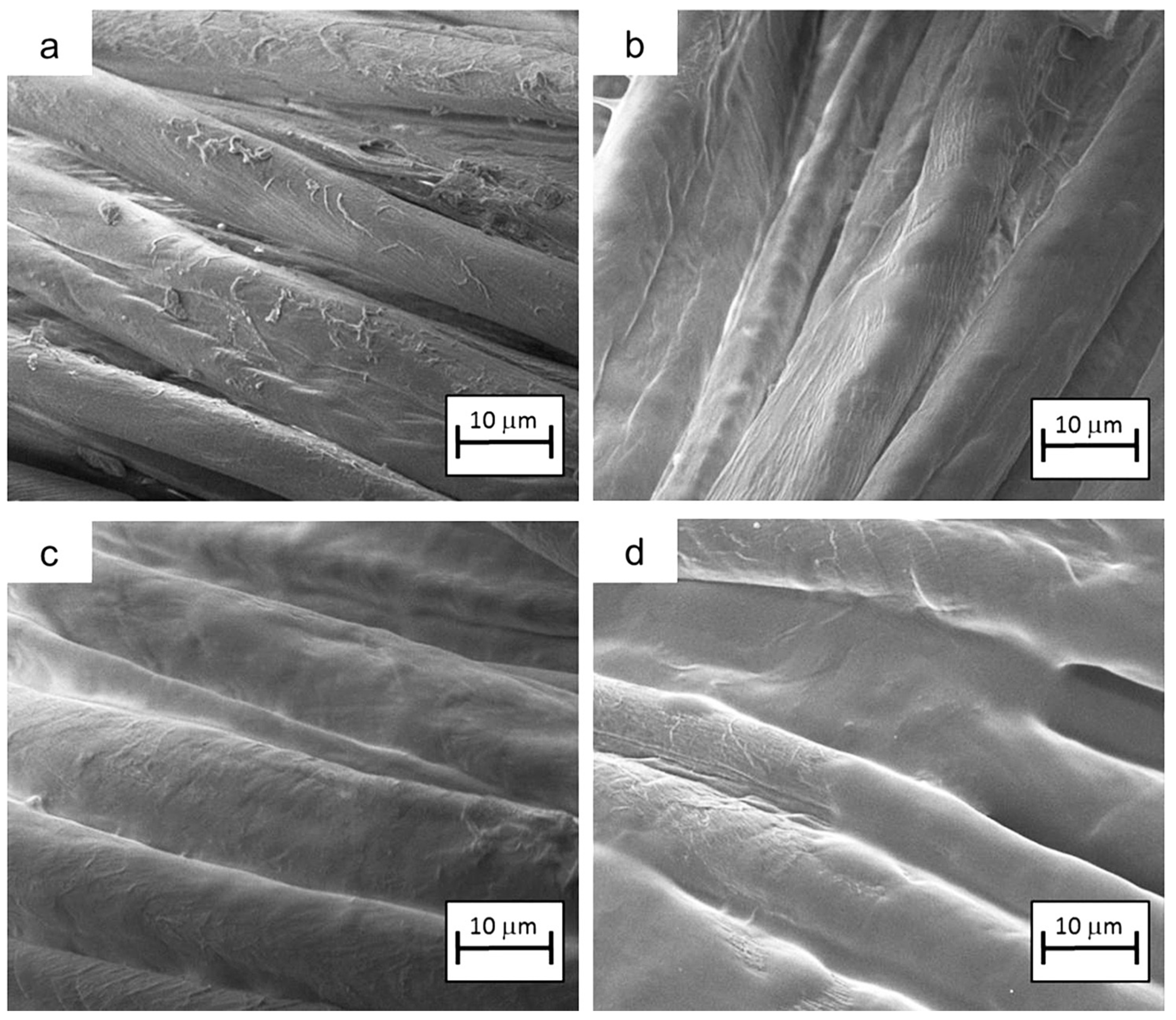Molecules 24 03774 g007