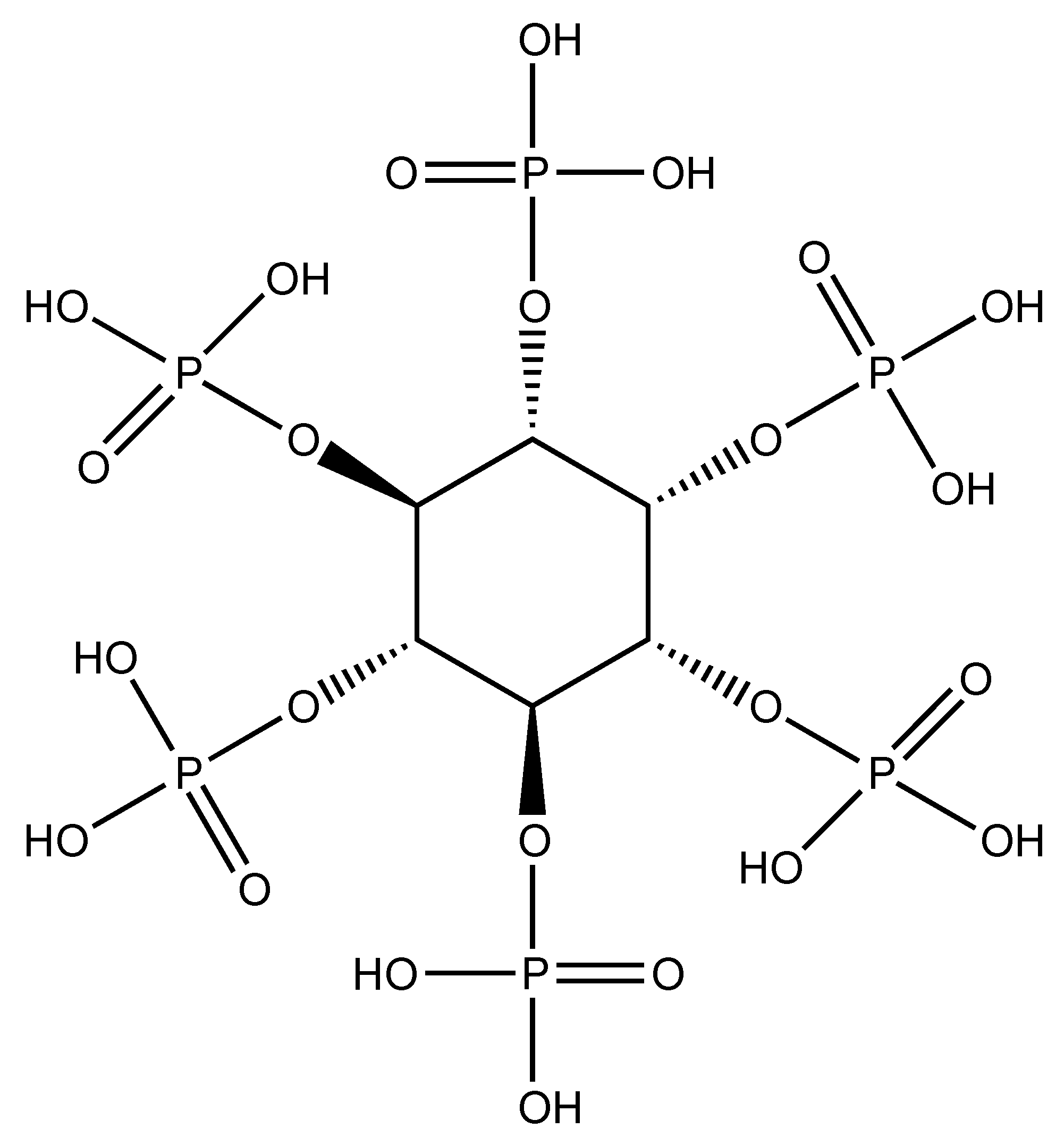Molecules 24 03774 g008