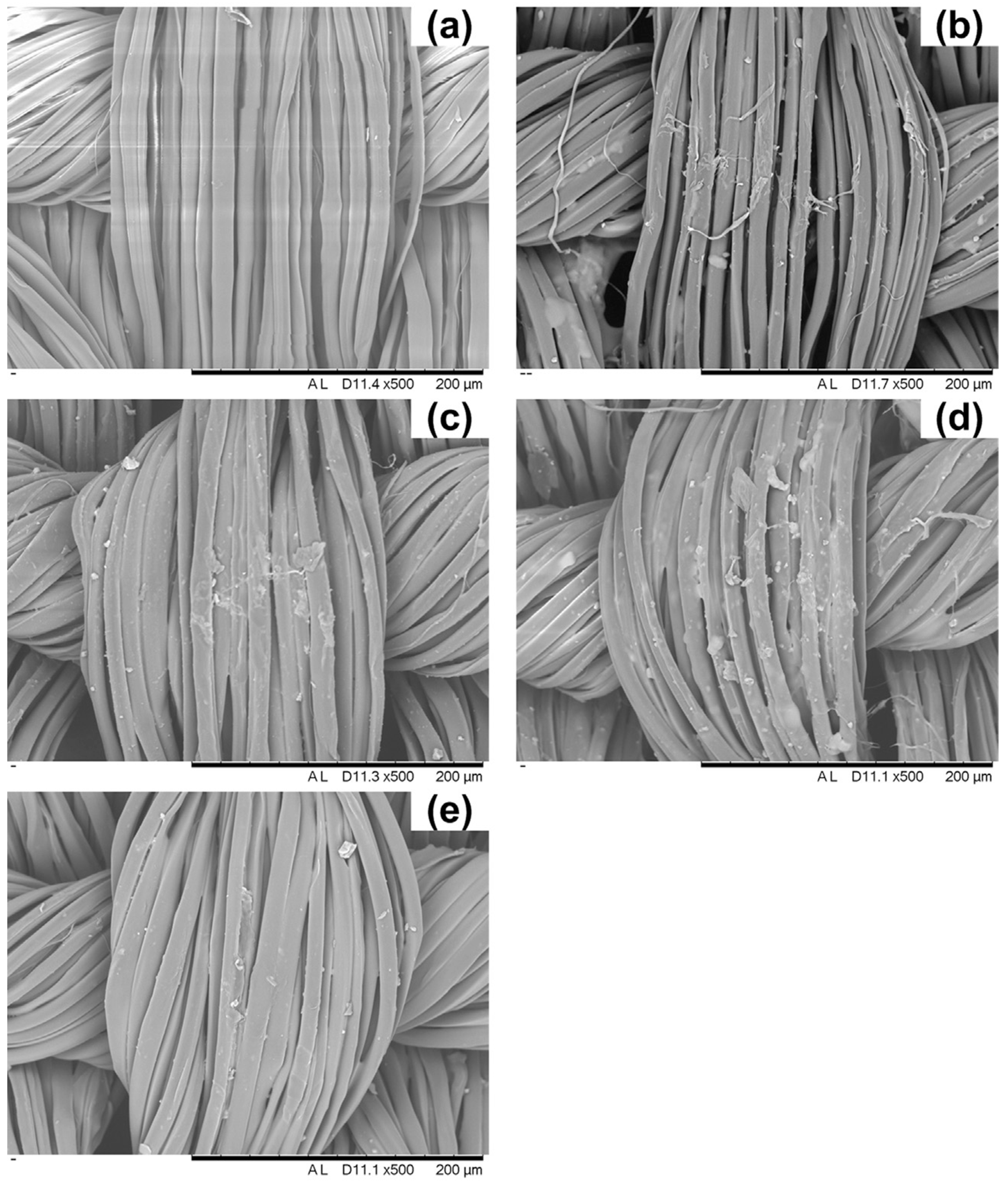 Molecules 24 03774 g009