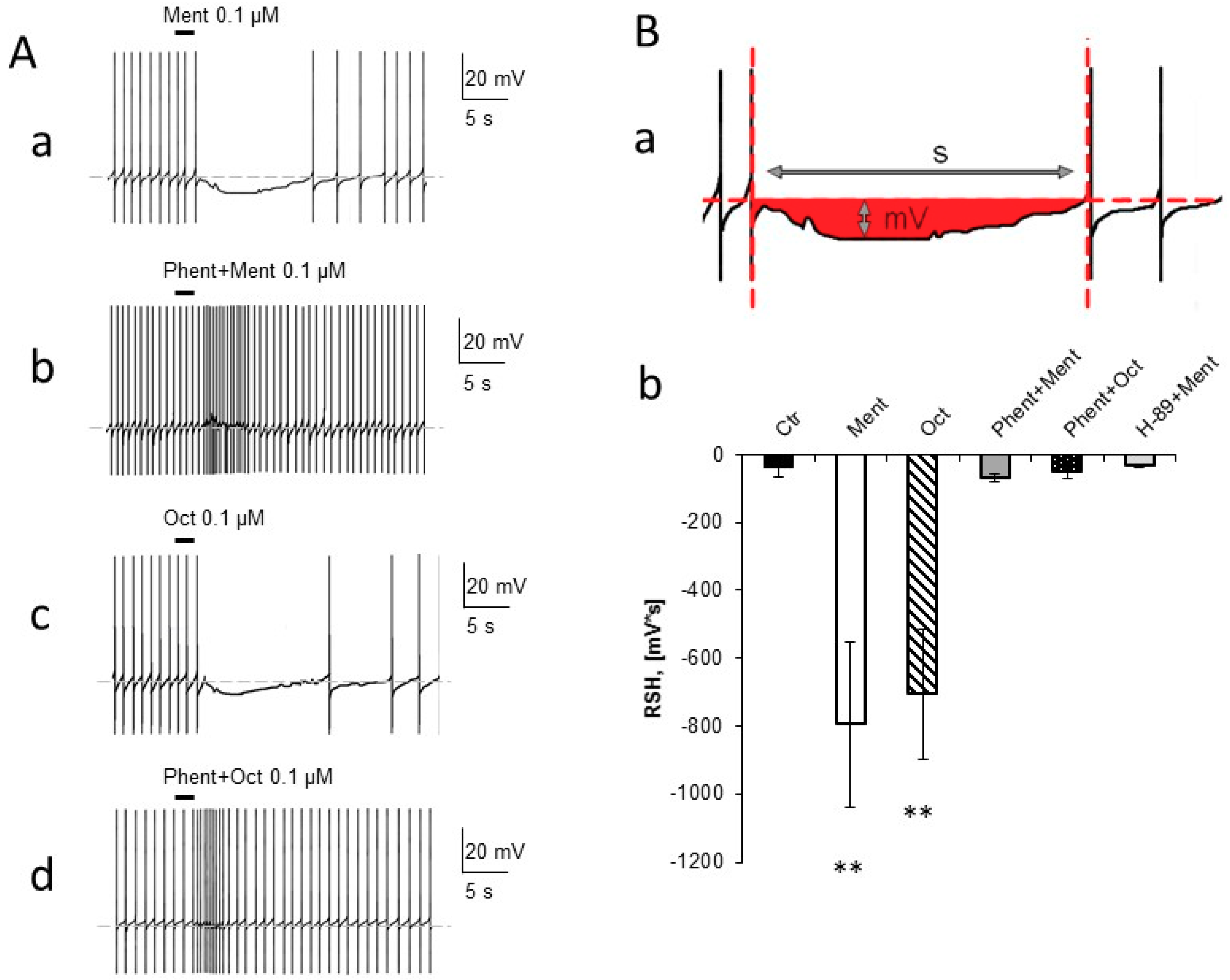 Molecules 24 03775 g001