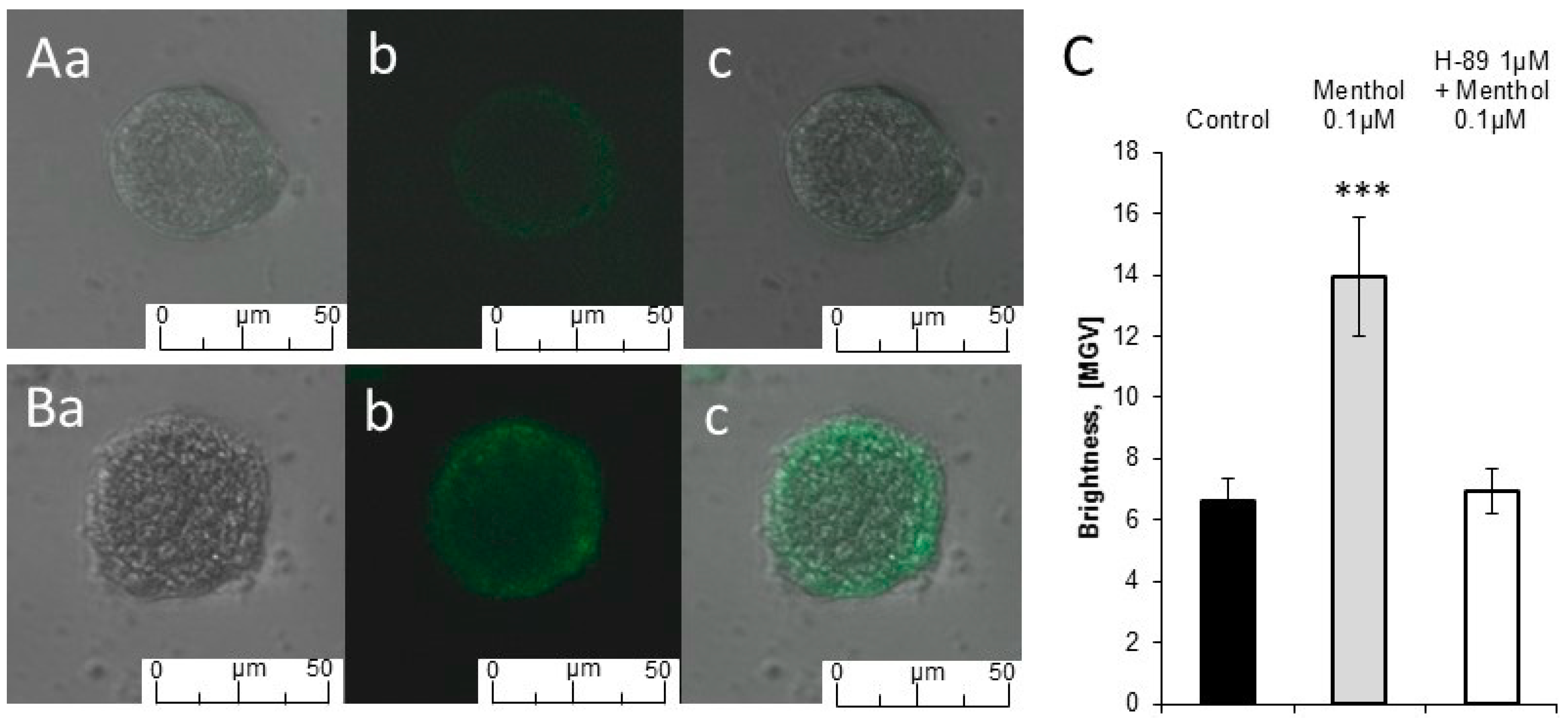 Molecules 24 03775 g002