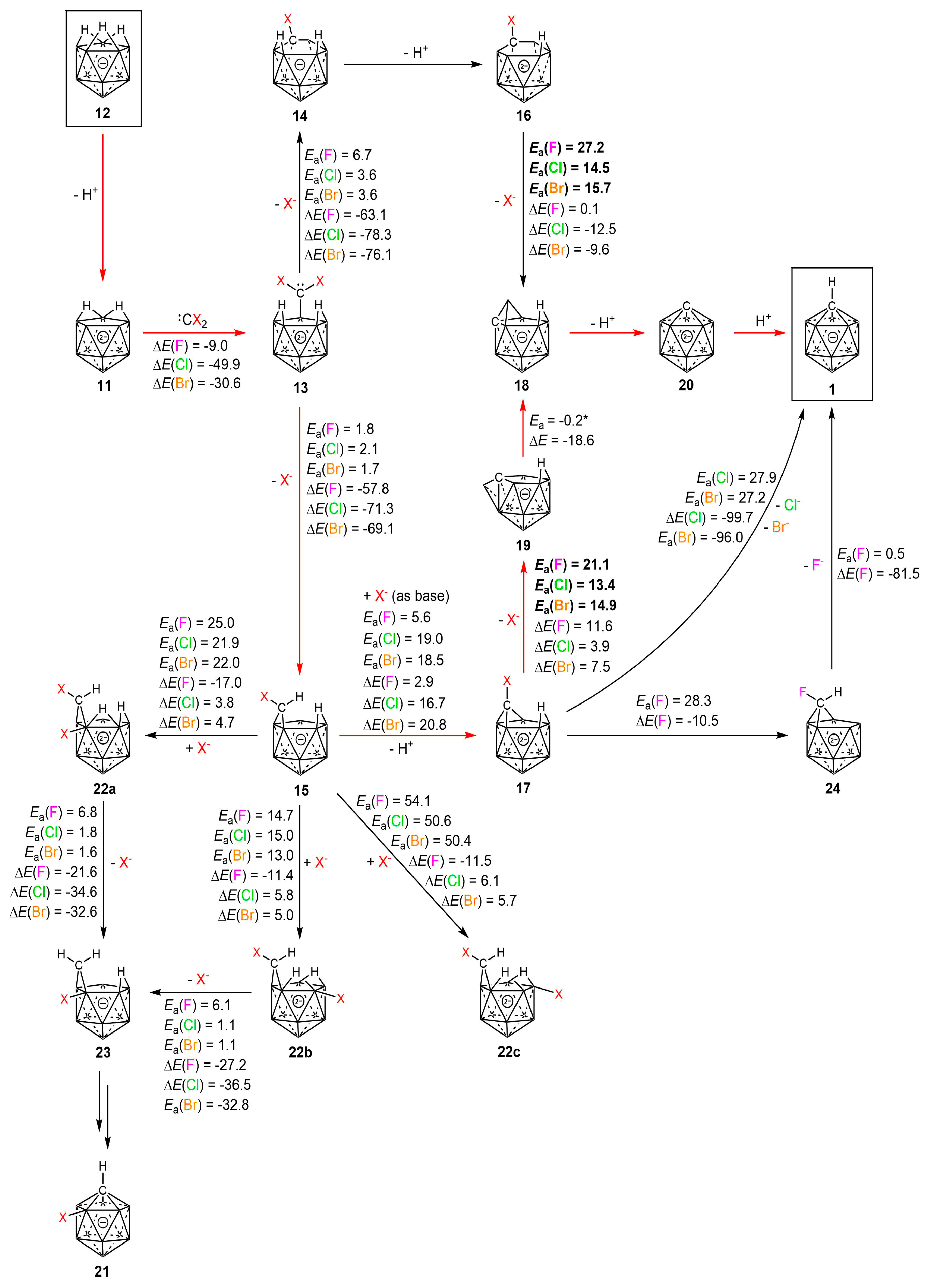 Molecules 24 03779 g001