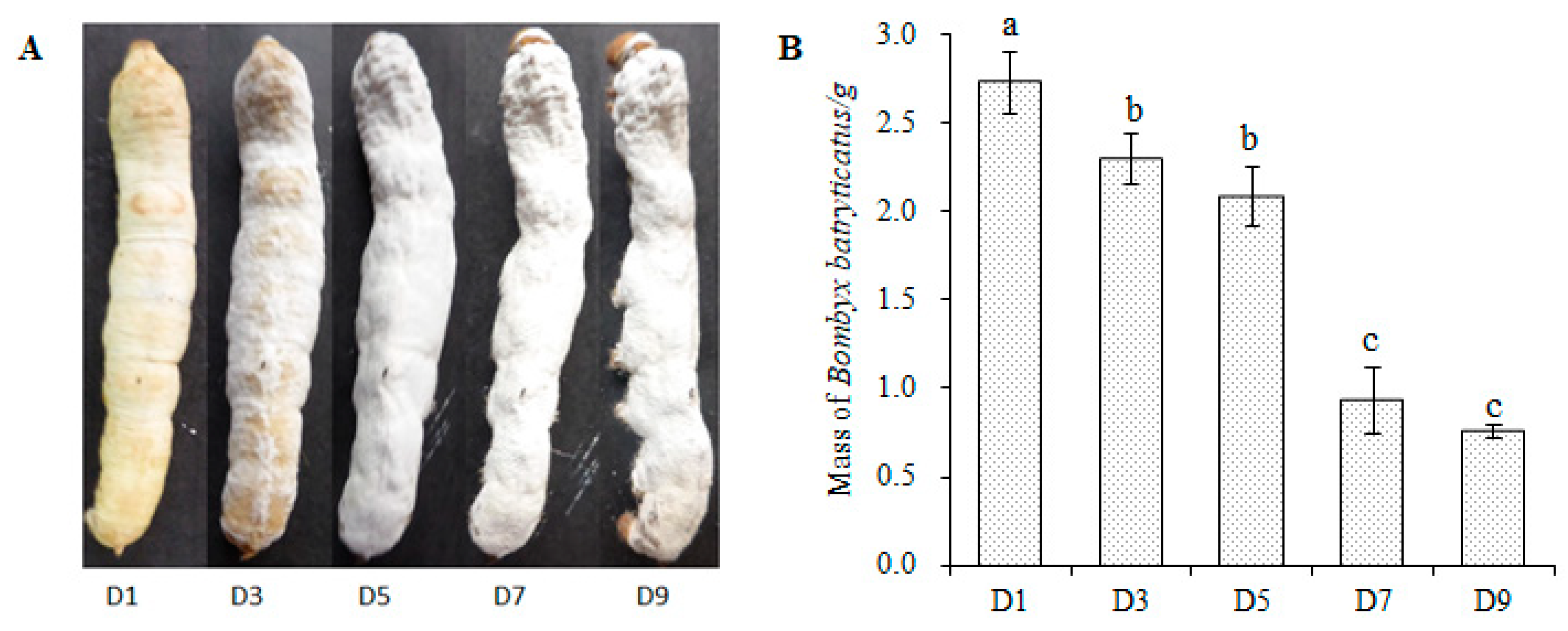 Molecules 24 03780 g002 550