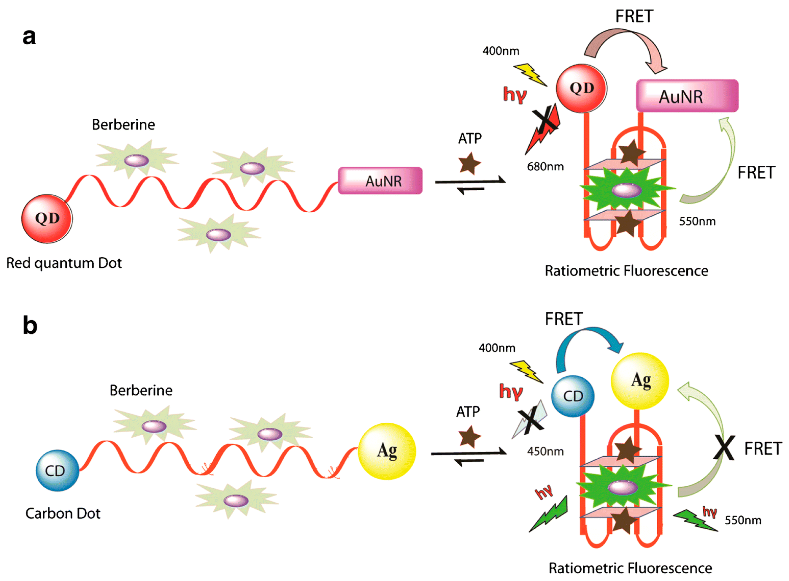Molecules 24 03781 g006