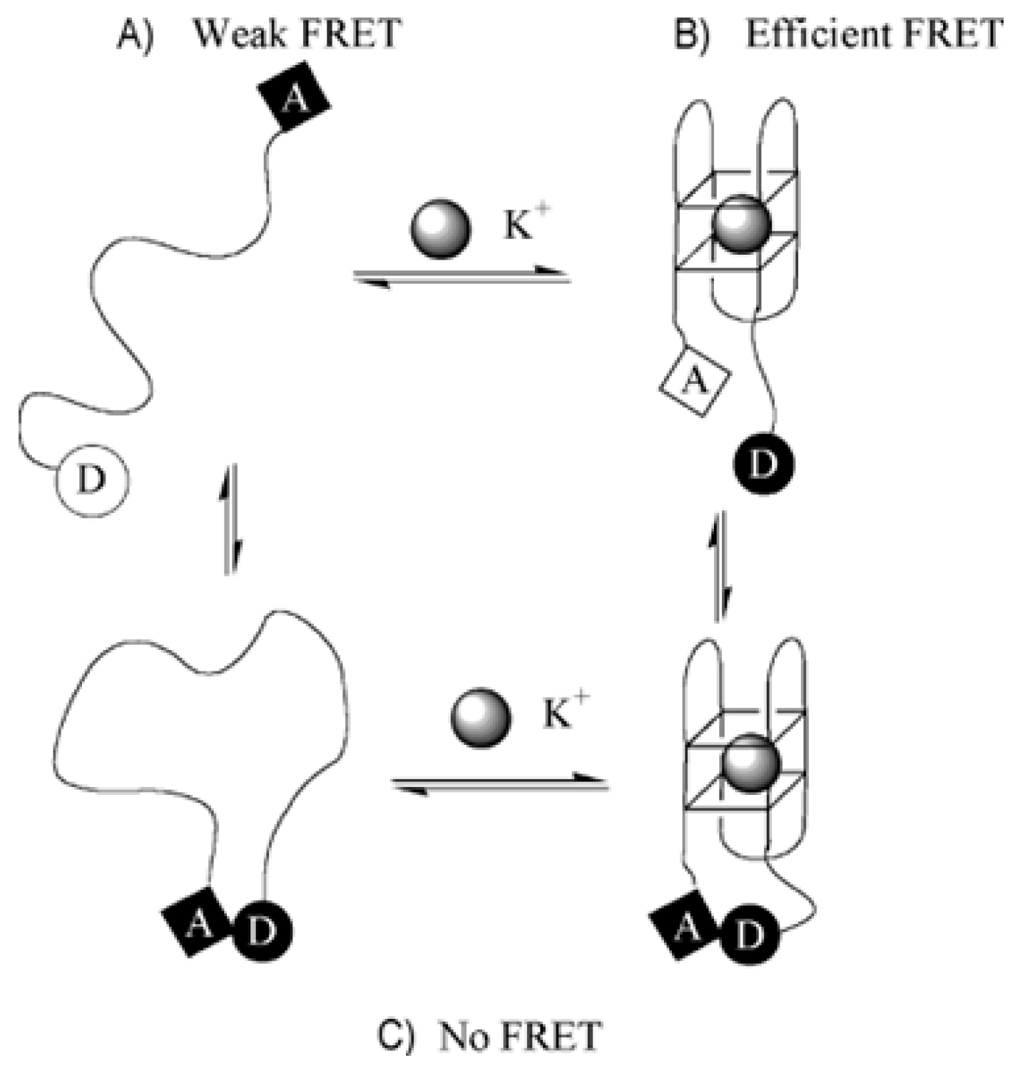 Molecules Free Full Text G Quadruplex Forming Aptamers Characteristics Applications And Perspectives Html